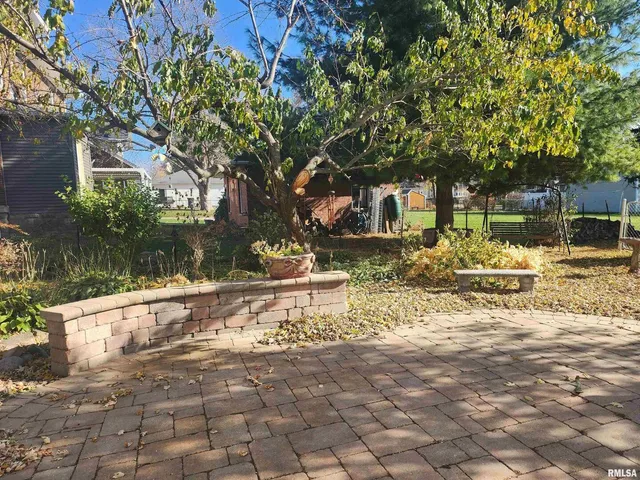 a view of a yard with plants and trees