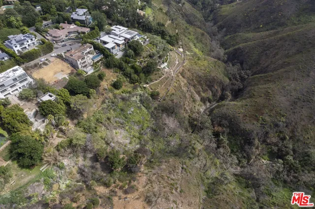 a close up of a plant