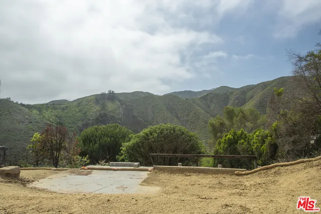 a view of a dry yard