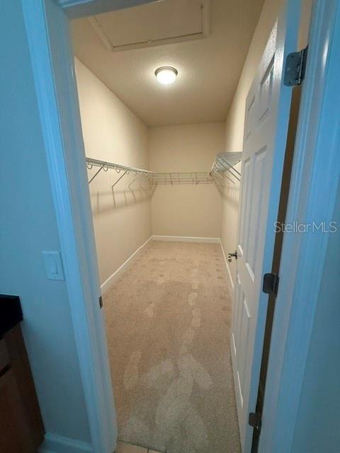 2834 Shetland Ridge Drive Valrico, FL 33596 - Photo 23 of 26