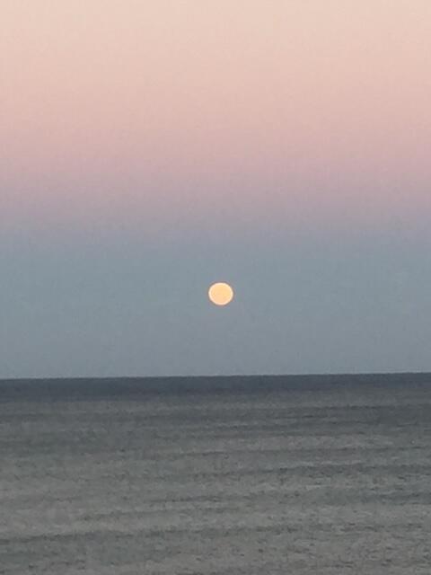 115 Ocean Key Way Jupiter, FL 33477 - Photo 32 of 44 IMG_0795