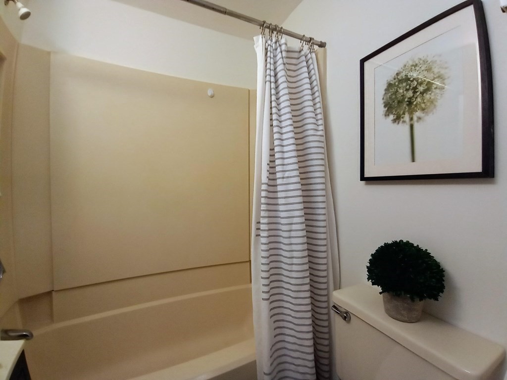 11 Unity Street, Unit 6 Boston, MA 02113 - Photo 8 of 12 a bathroom with a toilet and a sink