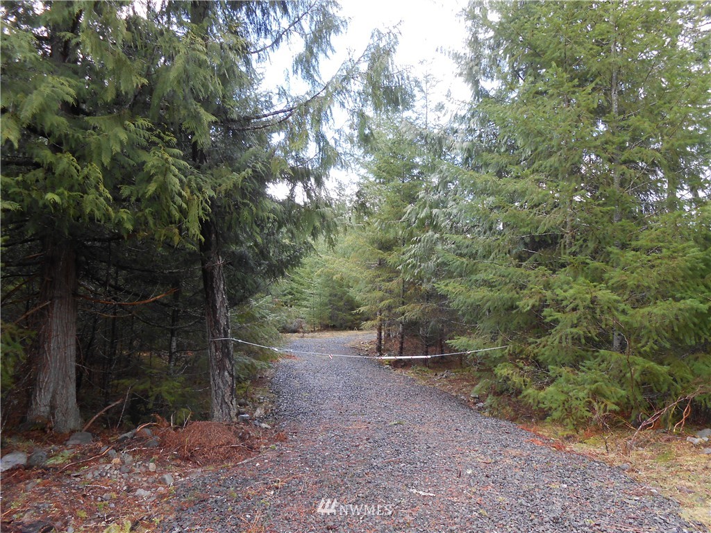 472 Cannon Road Packwood, WA 98361 - Photo 1 of 4 Gallery Image 1