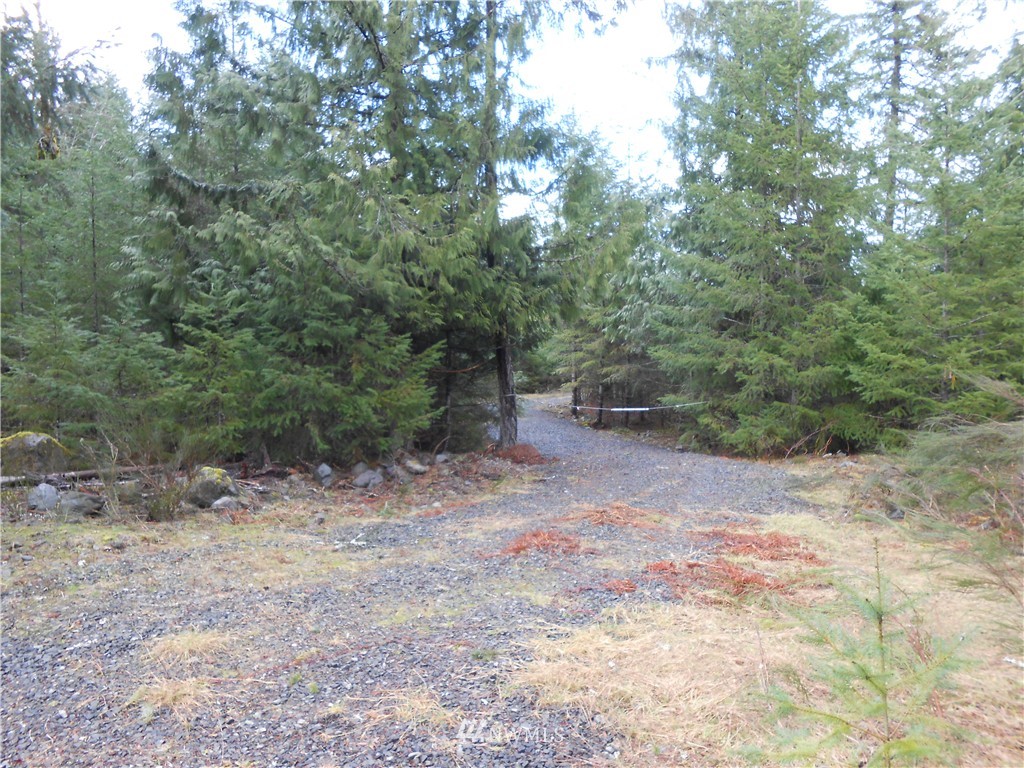 472 Cannon Road Packwood, WA 98361 - Photo 2 of 4 Gallery Image 2