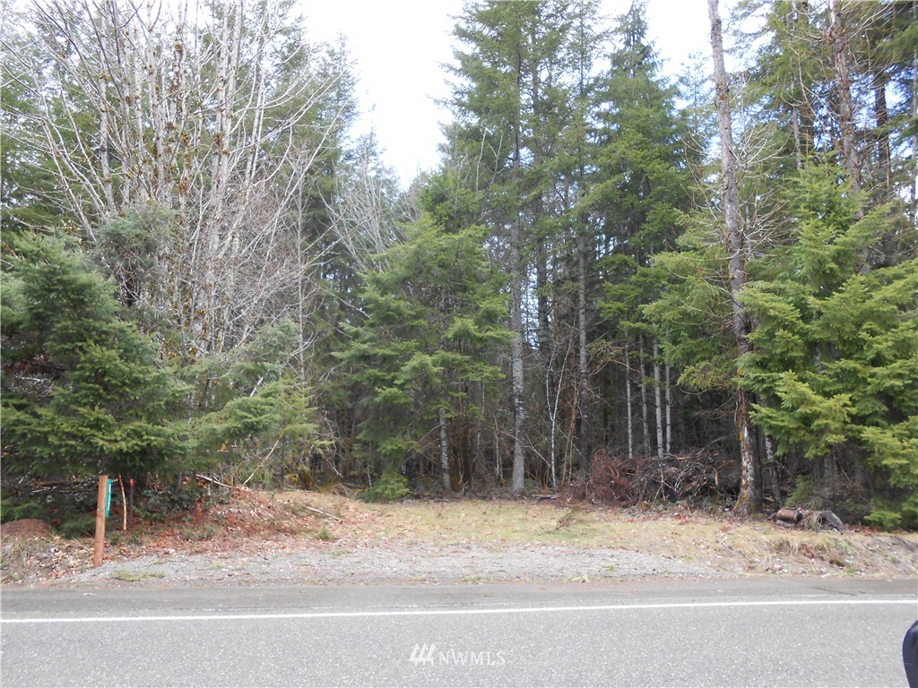 472 Cannon Road Packwood, WA 98361 - Photo 3 of 4 Gallery Image 3