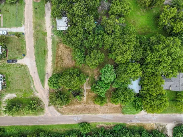 a view of a trees in a yard