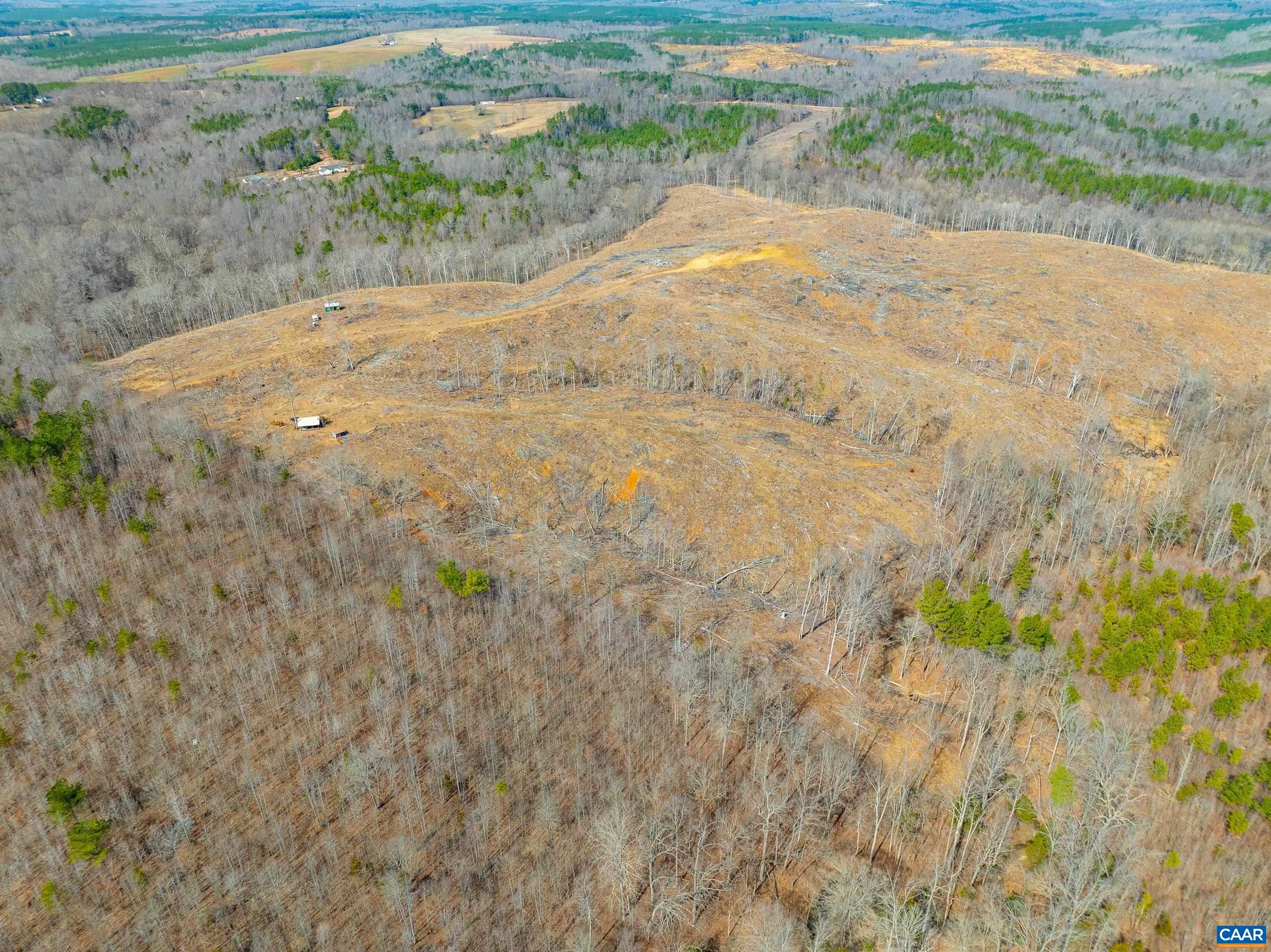 Lot 1 Starlight Lane Kenbridge, VA 23944 - Photo 8 of 13 a view of a dirt pathway both side of yard