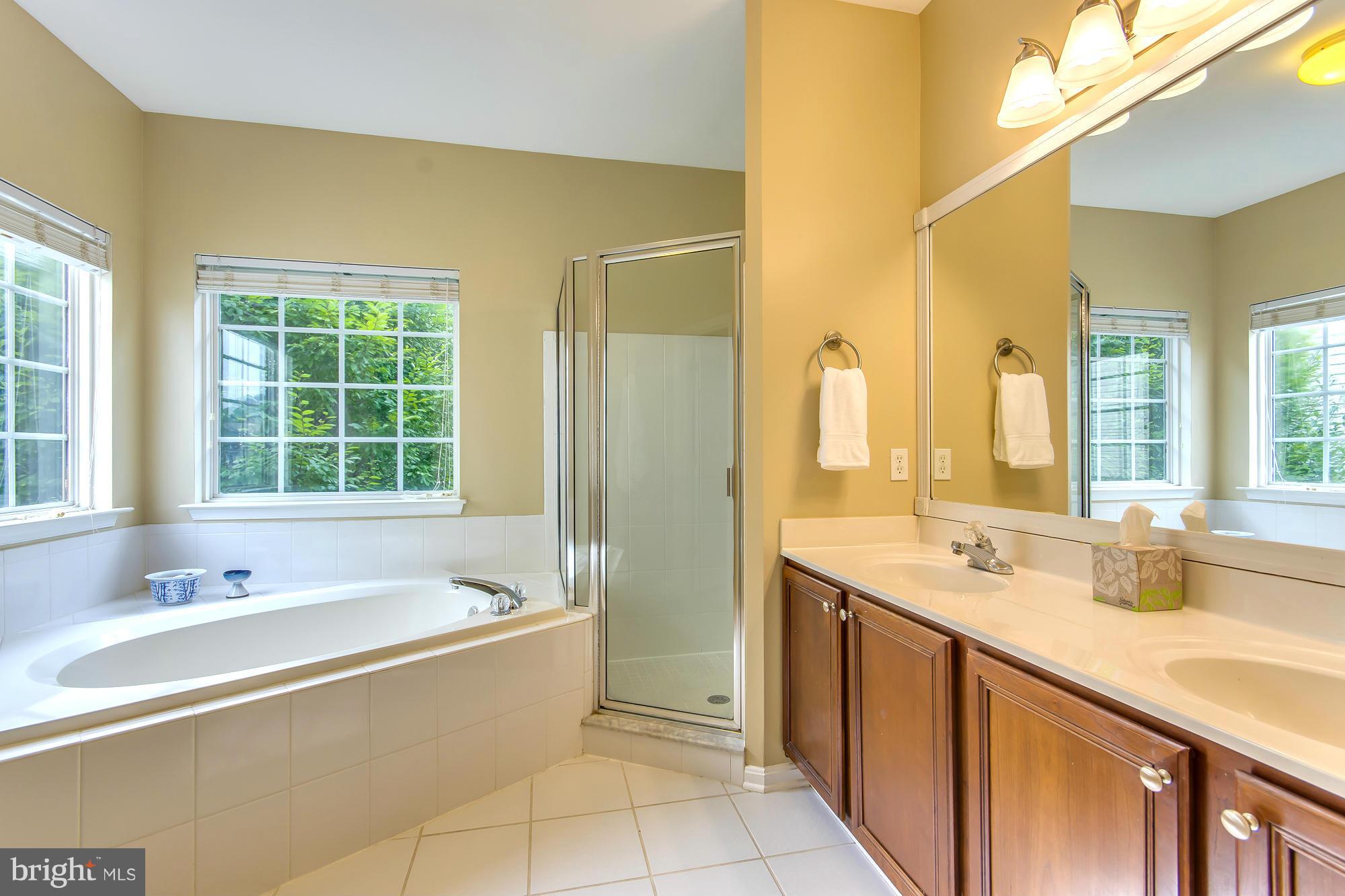 18138 Coachmans Road Germantown, MD 20874 - Photo 21 of 30 Bath (Master)