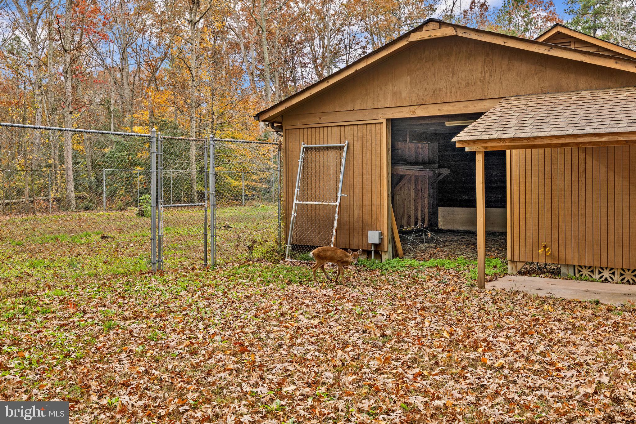 14149 Millbank Road King George, VA 22485 - Photo 7 of 67 Gallery Image 7