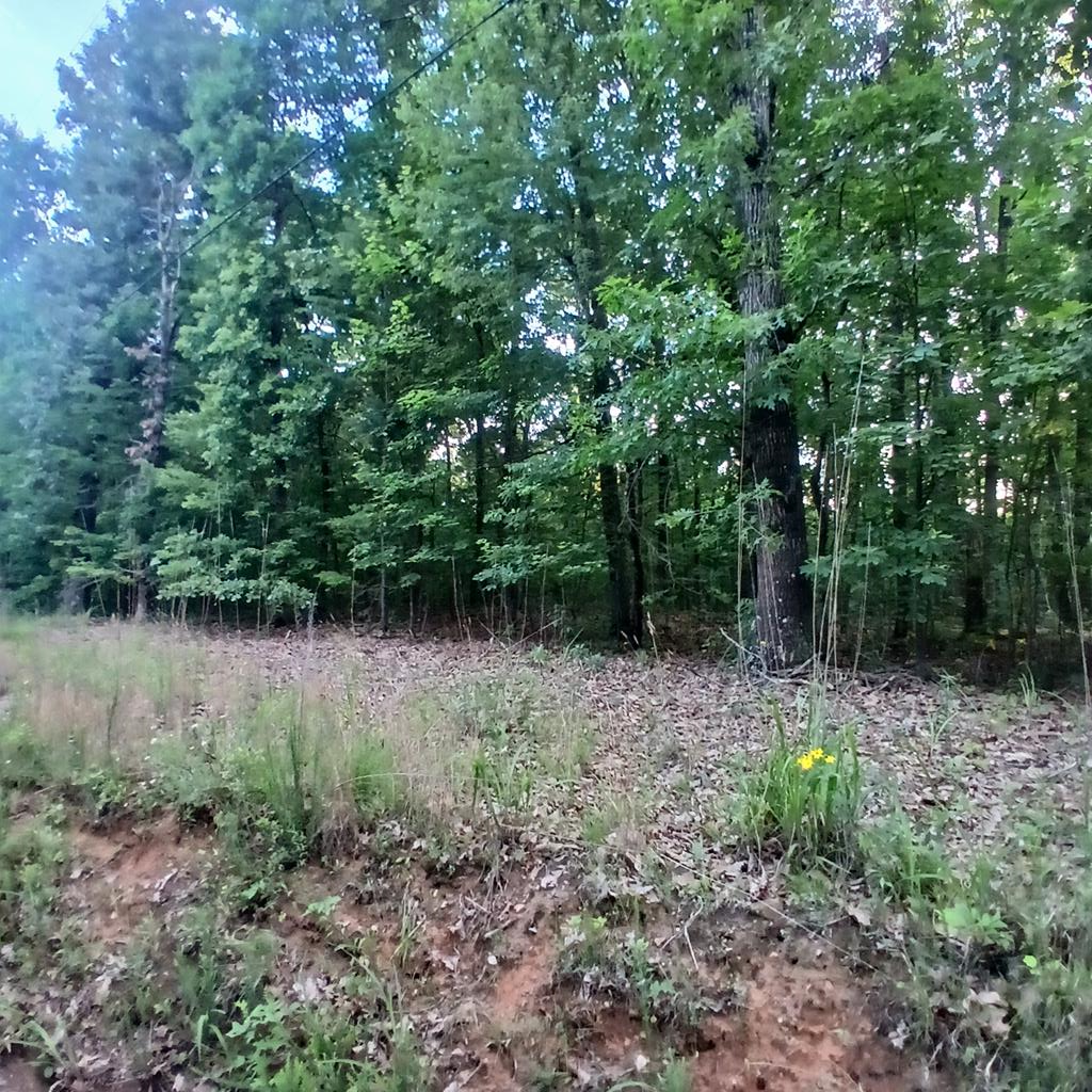 2 Raven Cliff Road Talking Rock, GA 30175 - Photo 1 of 10 Main View