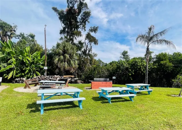 a small garden with palm trees