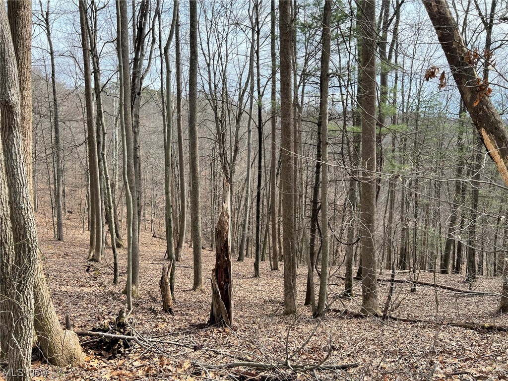 1 Norman Ridge Road Big Bend, WV 26136 - Photo 19 of 20 Gallery Image 19