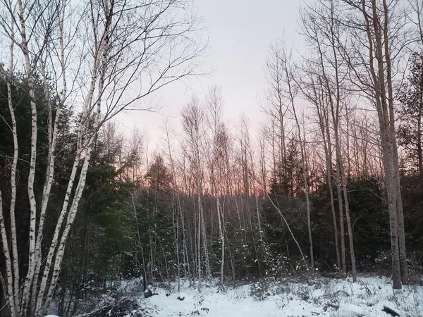 $110,000 | Lot # Old Commonwealth, Enfield, ME 04493