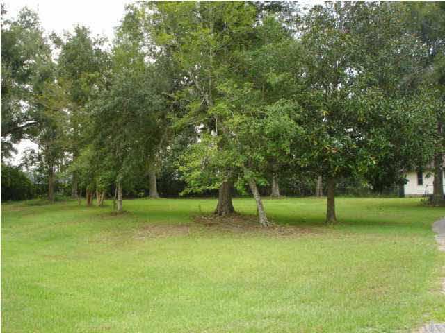 1085 Tate Road Cantonment, FL 32533 - Photo 11 of 19 Front yard.