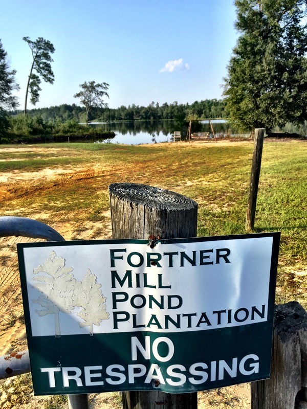 0 Fortner Mill Kite, GA 31049 - Photo 1 of 22