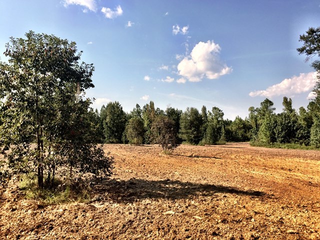 0 Fortner Mill Kite, GA 31049 - Photo 7 of 22 a view of a dry yard