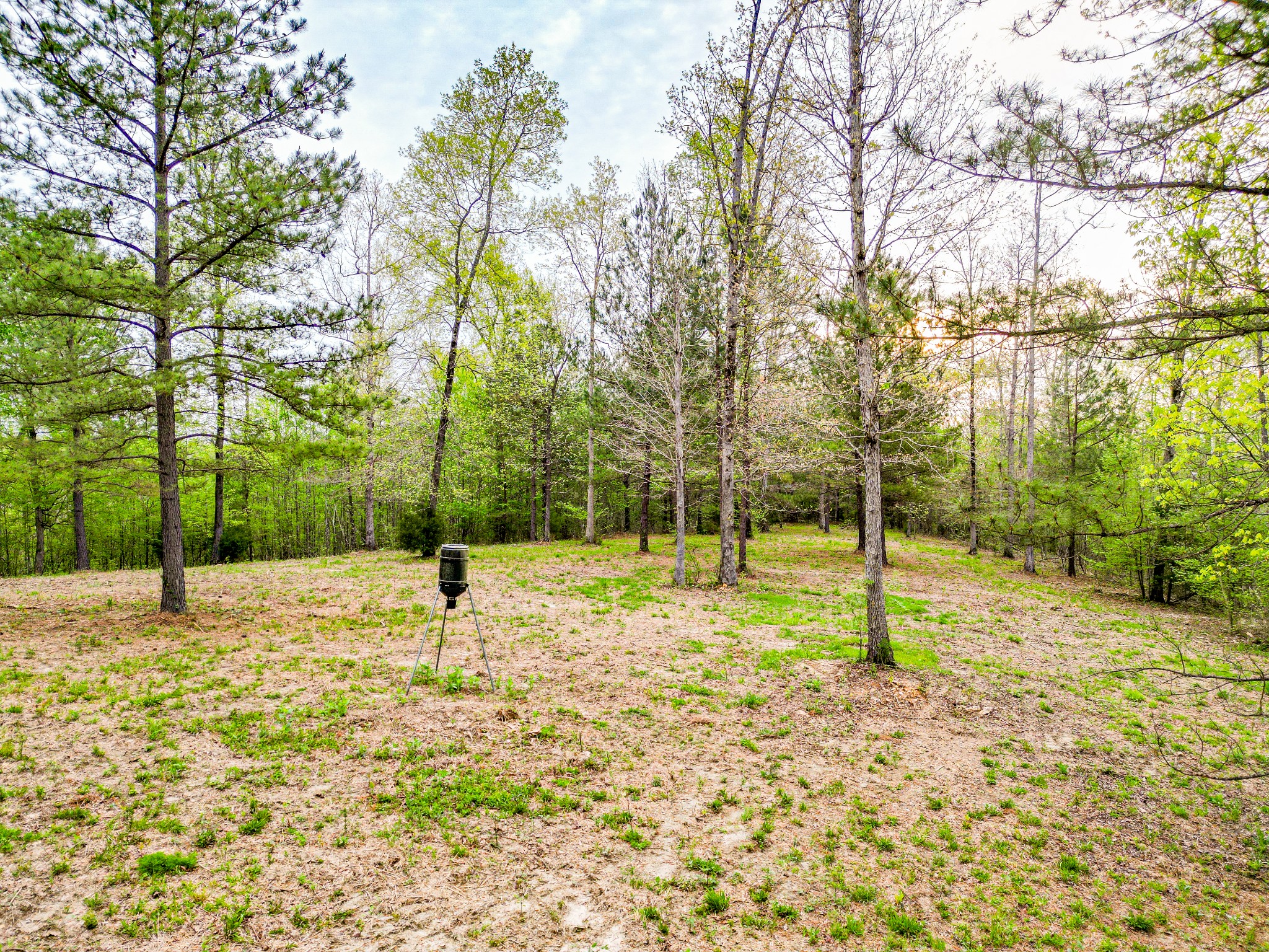 920 Mason Bates Bend Road Centerville, TN 37033 - Photo 65 of 82 Gallery Image 65