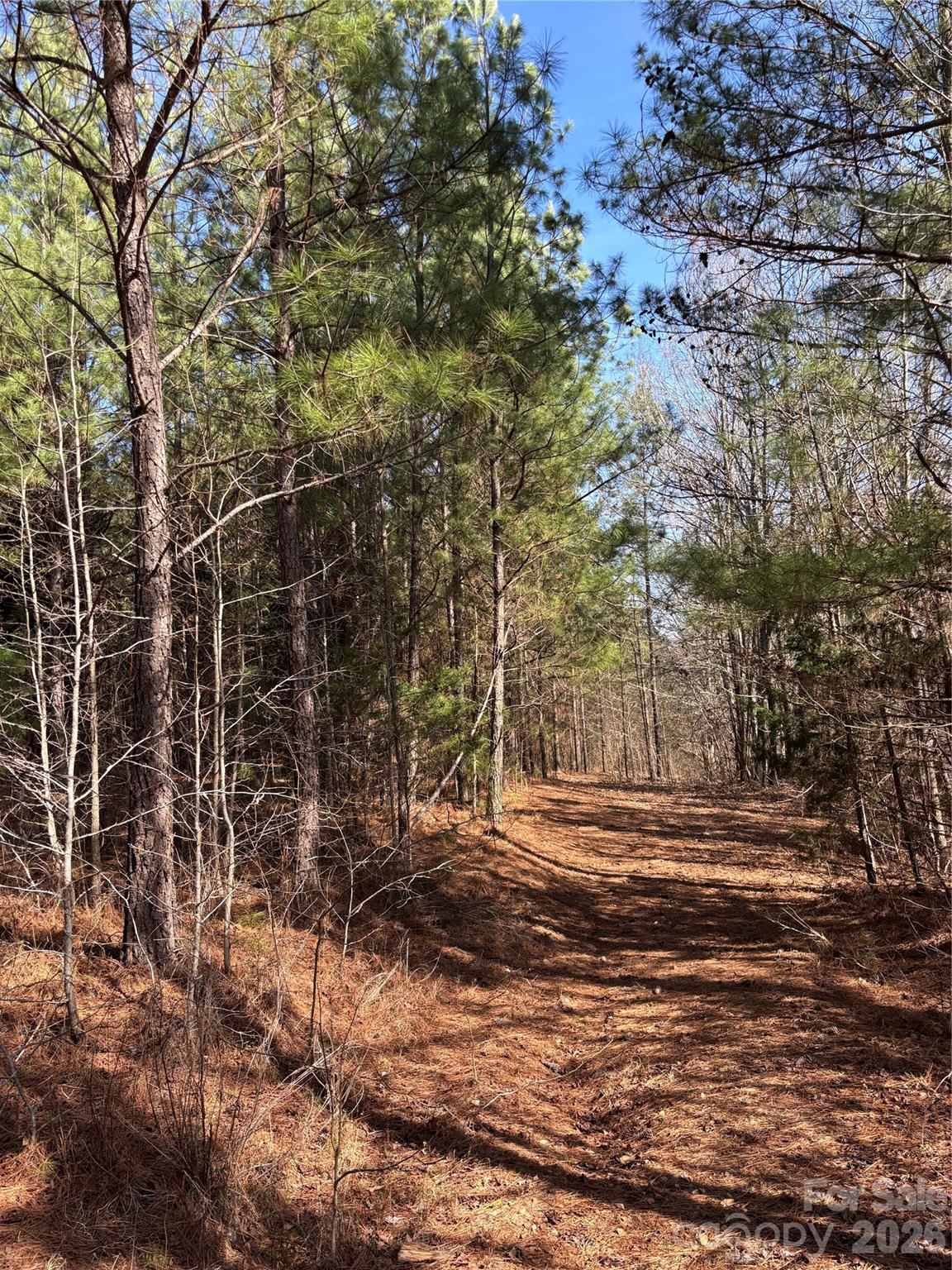 7.6-ac Pioneer Road York, SC 29745 - Photo 23 of 28 Gallery Image 23