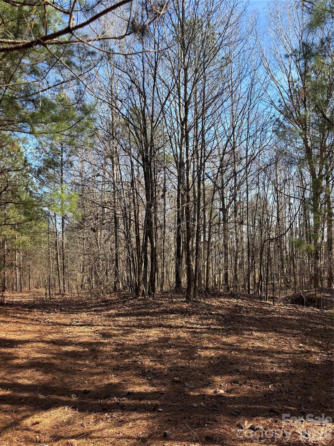 7.6-ac Pioneer Road York, SC 29745 - Photo 24 of 28 Gallery Image 24