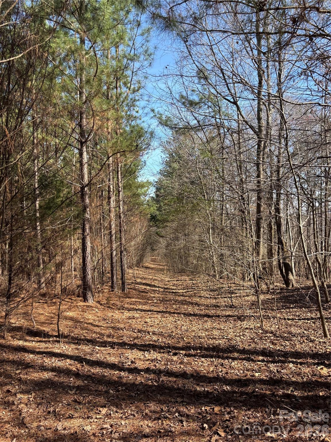 7.6-ac Pioneer Road York, SC 29745 - Photo 25 of 28 Gallery Image 25