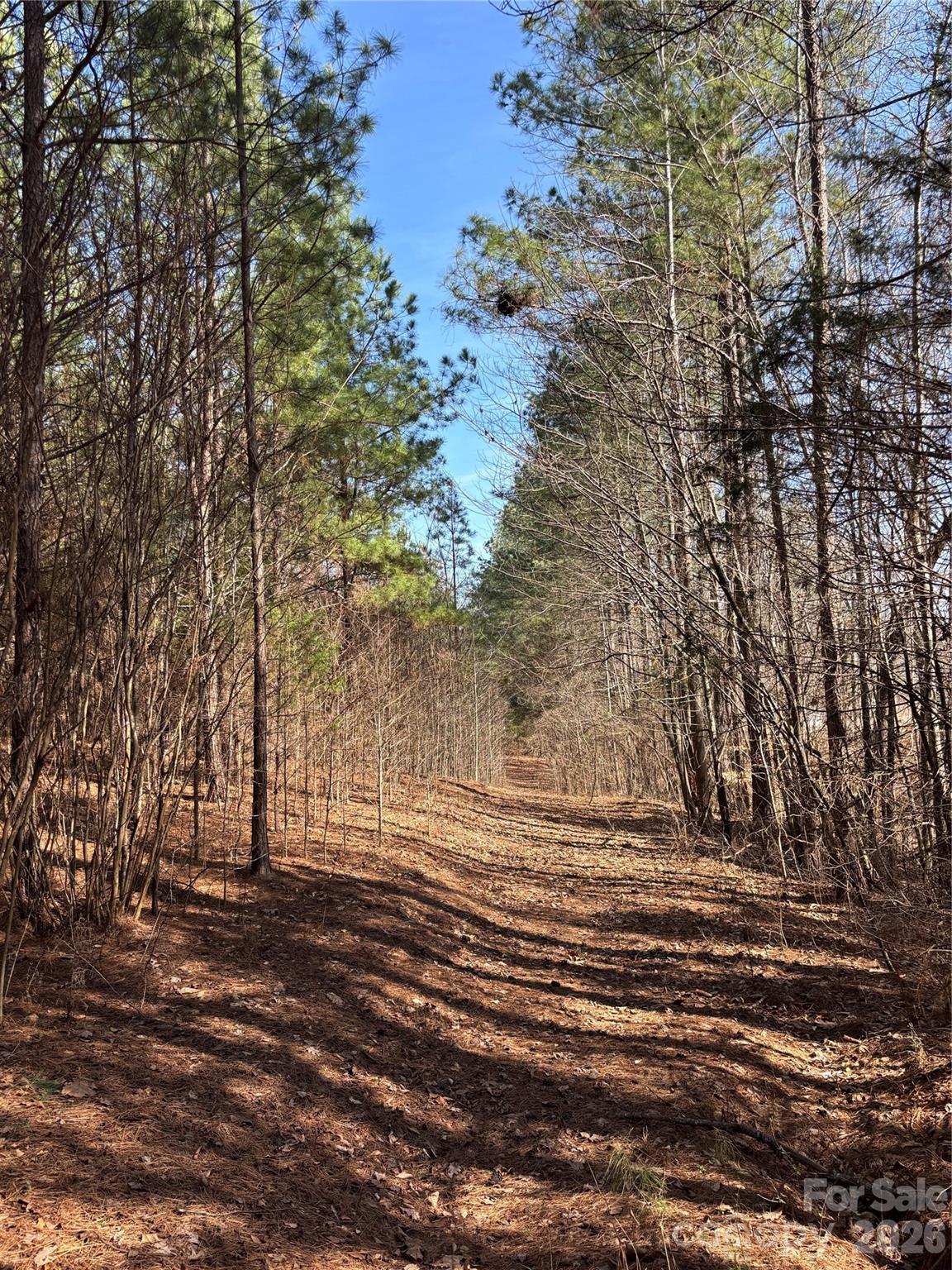 7.6-ac Pioneer Road York, SC 29745 - Photo 26 of 28 Gallery Image 26