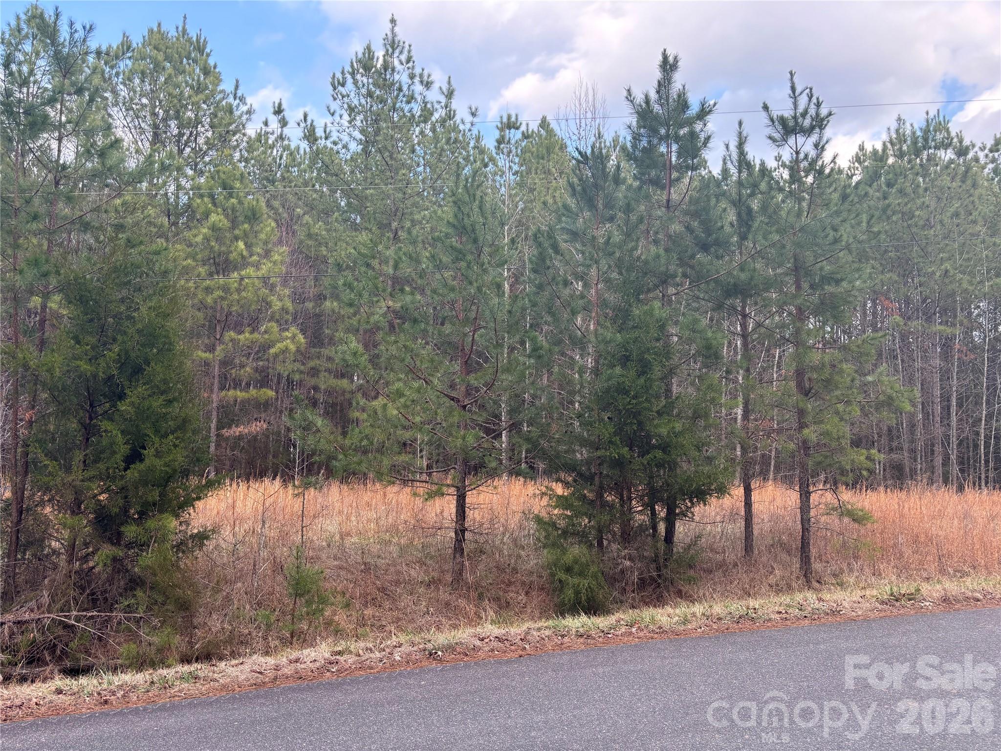 7.6-ac Pioneer Road York, SC 29745 - Photo 8 of 28 Gallery Image 8
