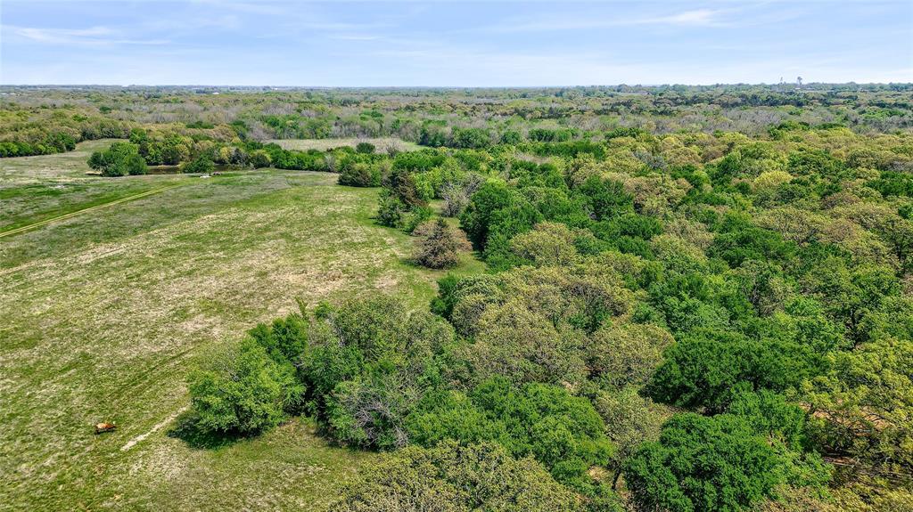 Tbd West Tbd W Line Road Collinsville, TX 76233 - Photo 15 of 16 Bird's eye view of a forest