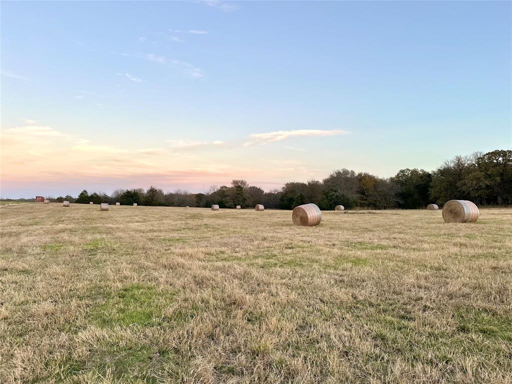 Tbd West Tbd W Line Road Collinsville, TX 76233 - Photo 5 of 16 View of rural / pastoral area