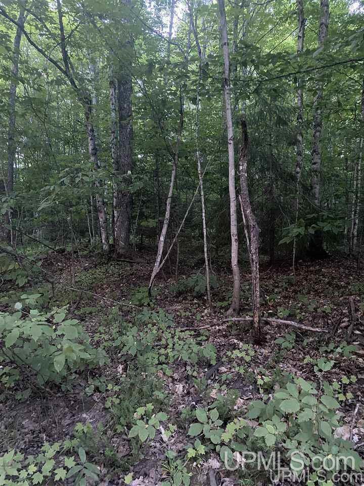 Tbd Rosemund Road Shingleton, MI 49884 - Photo 5 of 6