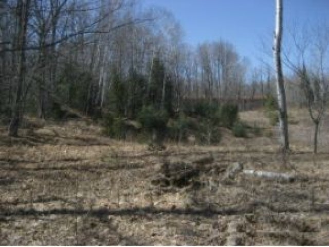 2907n Highway 51 Mercer, WI 54547 - Photo 6 of 9 Gallery Image 6