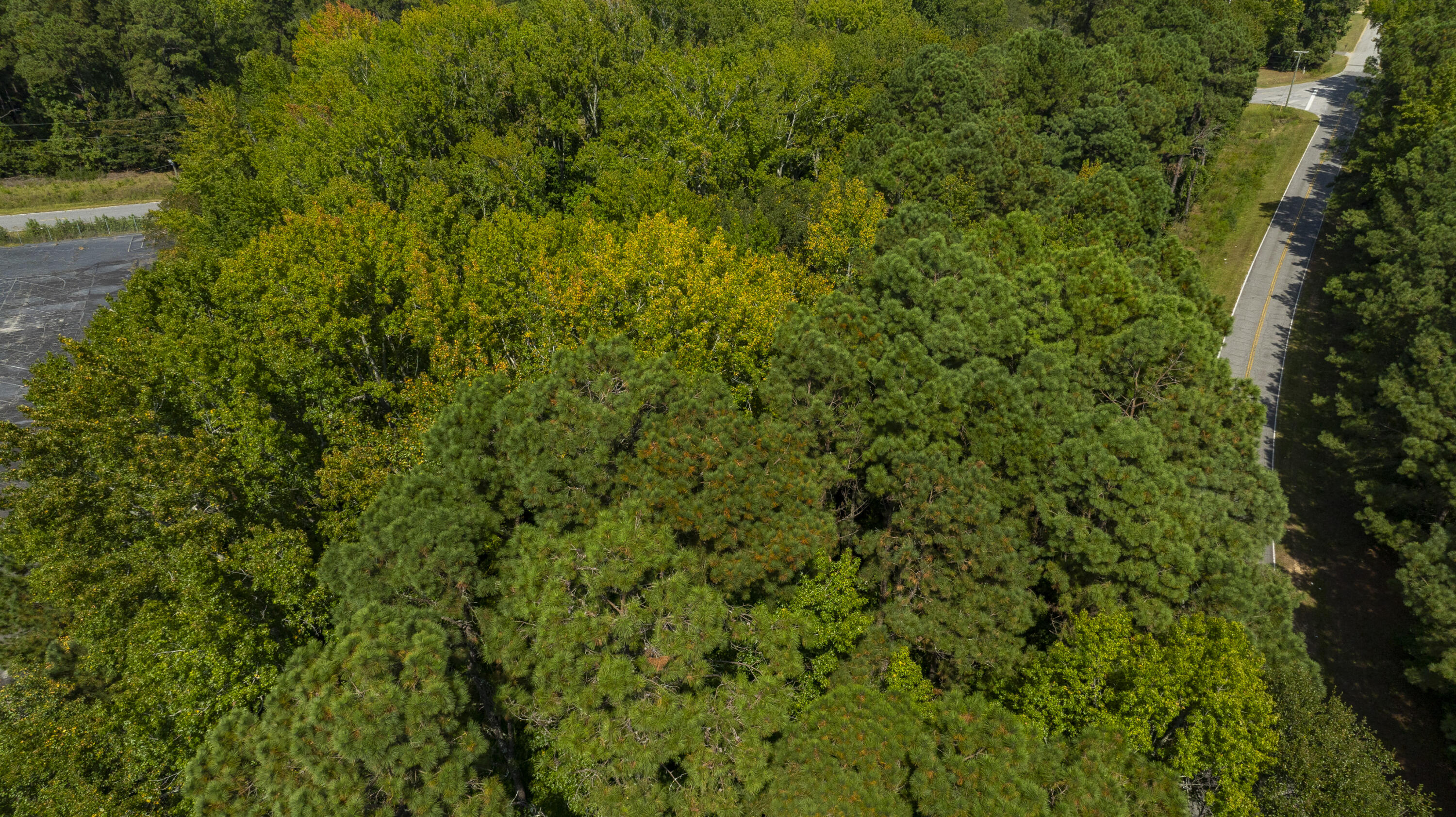 0 Elko Street Williston, SC 29853 - Photo 19 of 20 DJI_0763