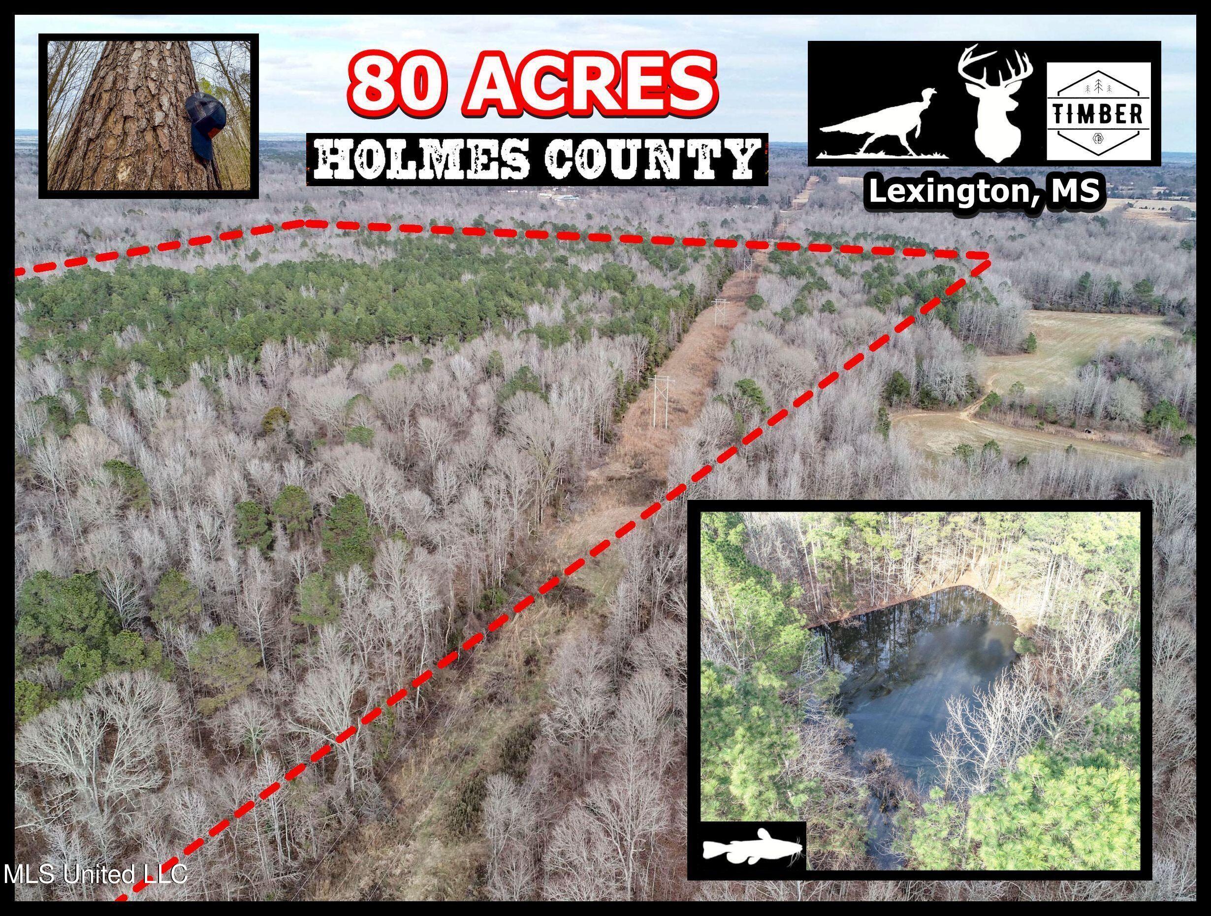 Anderson Road Lexington, MS 39095 - Photo 1 of 96 1lxtg24t