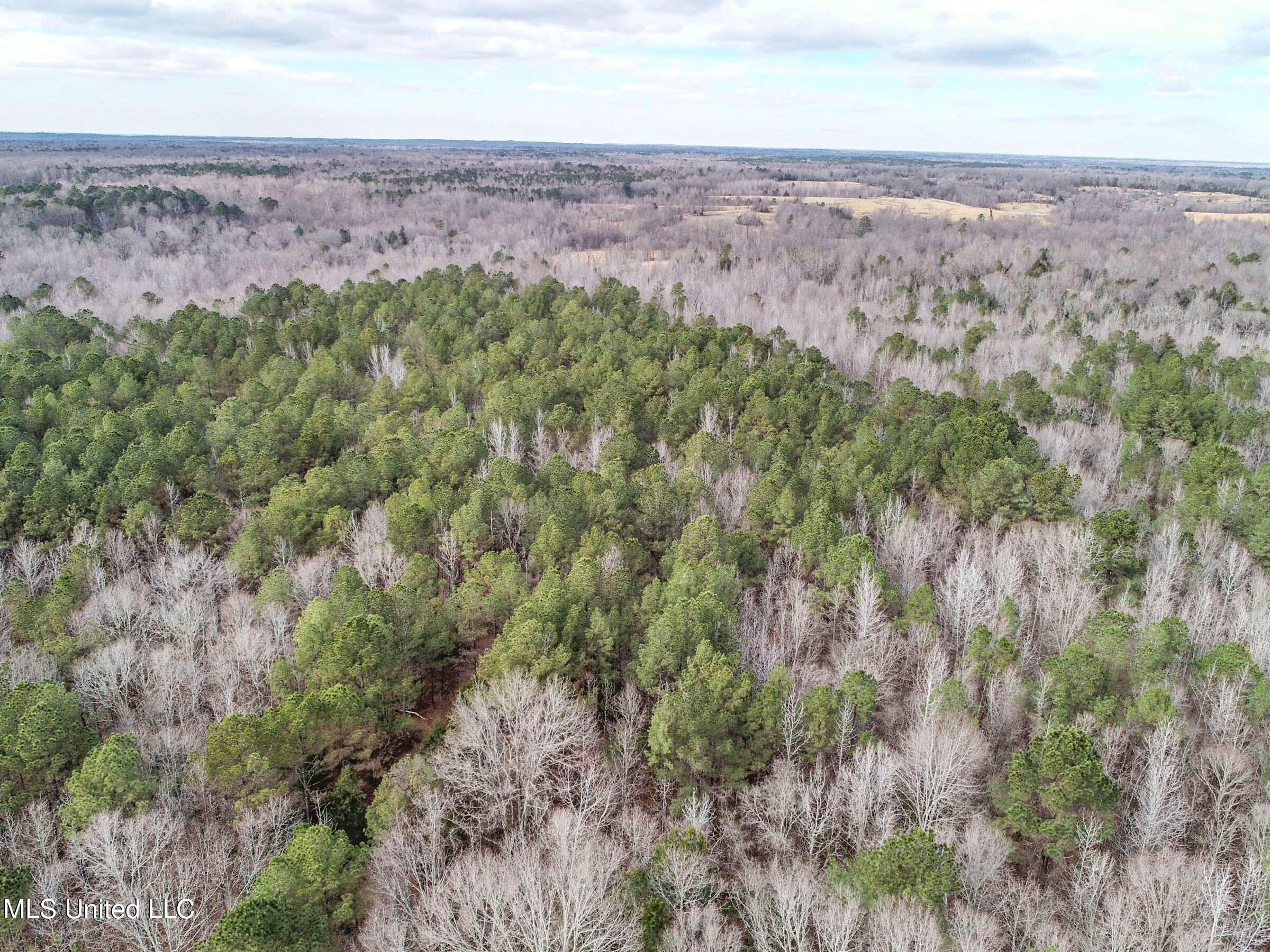 Anderson Road Lexington, MS 39095 - Photo 14 of 96 3lxtg6