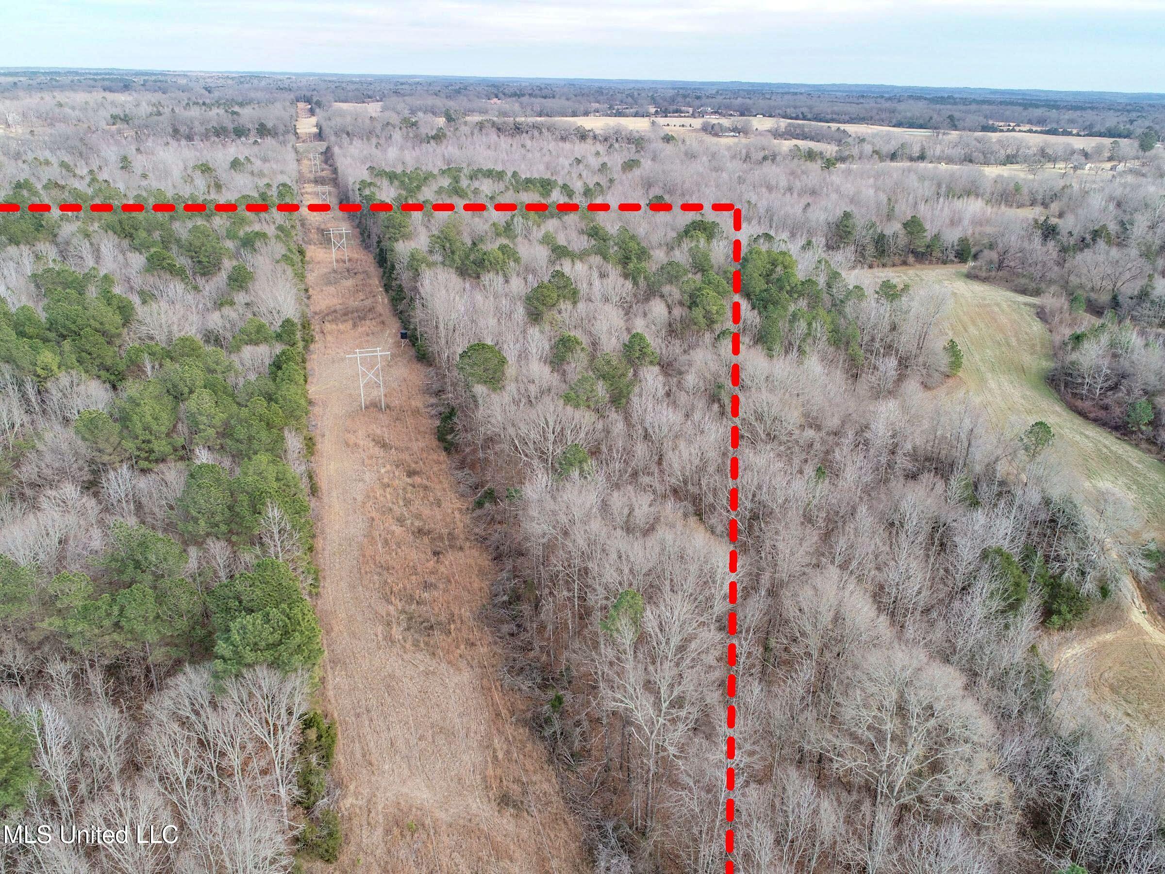 Anderson Road Lexington, MS 39095 - Photo 16 of 96 3lxtg8b