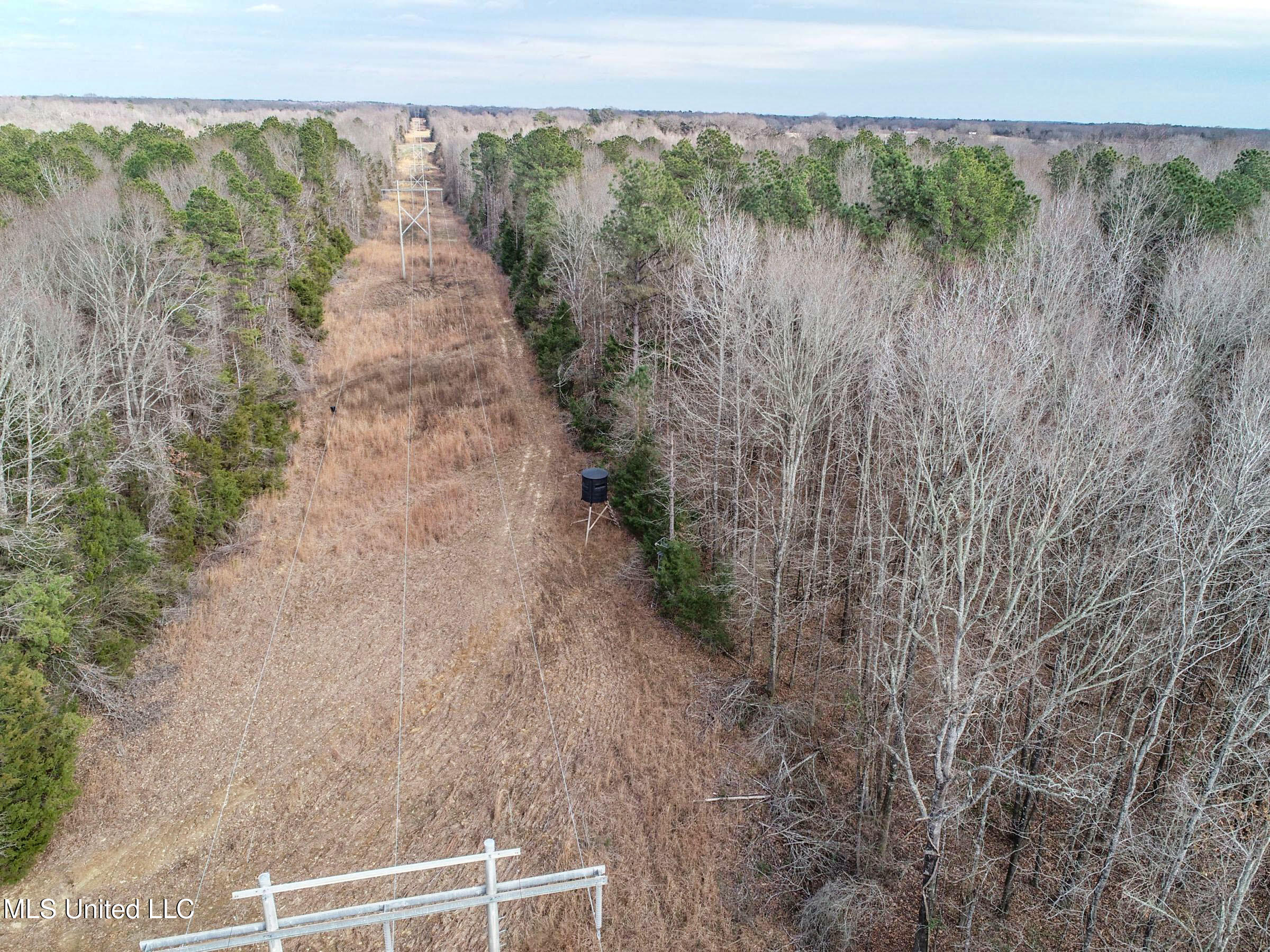 Anderson Road Lexington, MS 39095 - Photo 20 of 96 3lxtg12