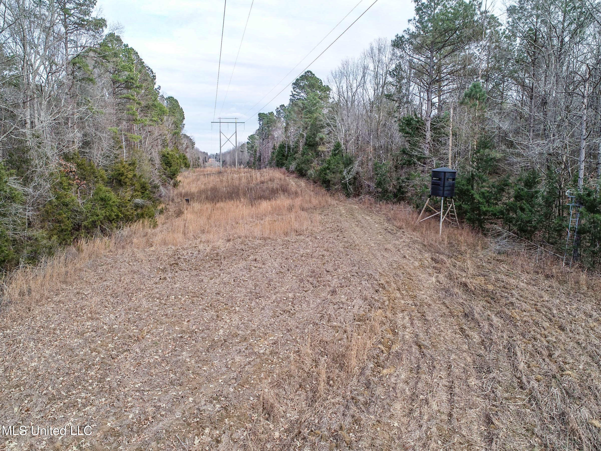 Anderson Road Lexington, MS 39095 - Photo 23 of 96 3lxtg15