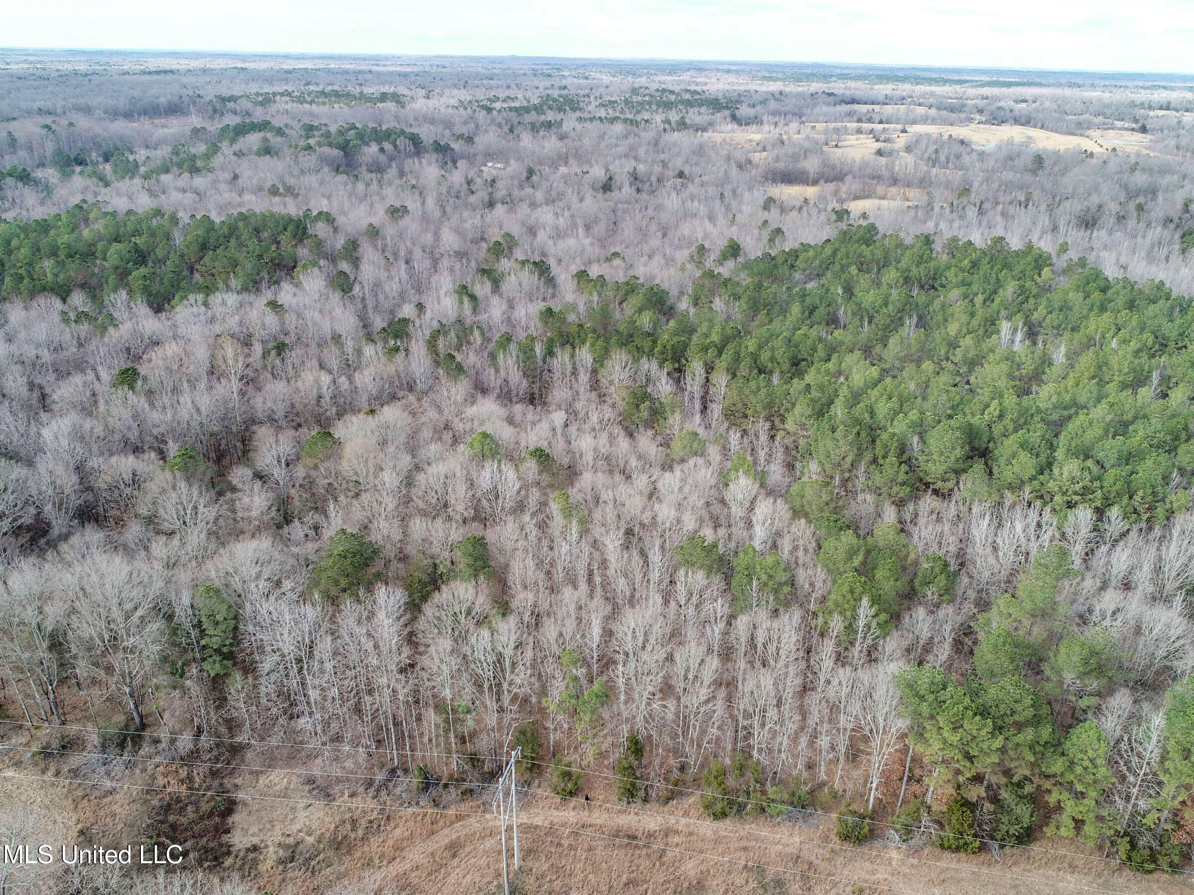 Anderson Road Lexington, MS 39095 - Photo 27 of 96 3lxtg19