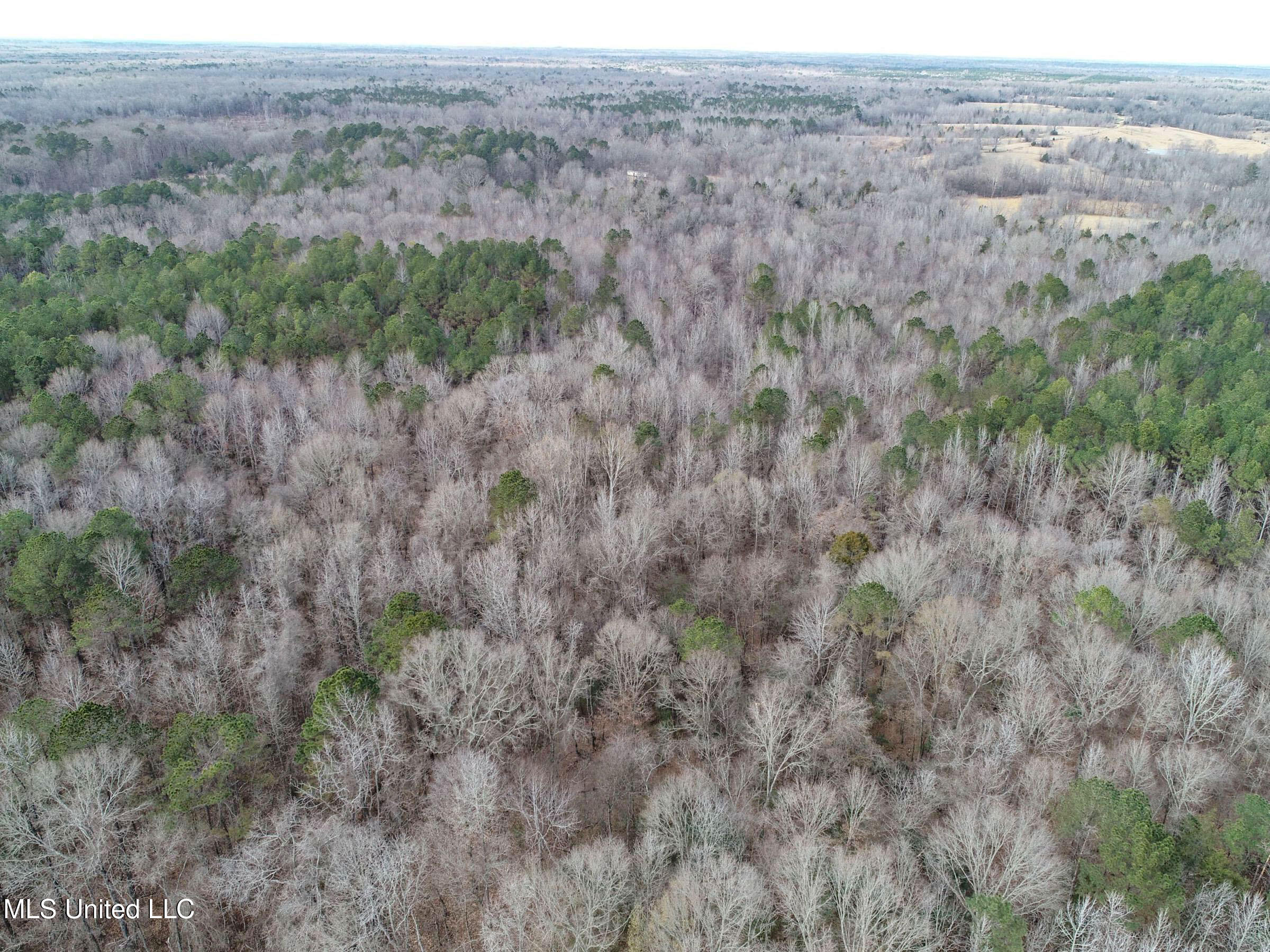 Anderson Road Lexington, MS 39095 - Photo 29 of 96 3lxtg21