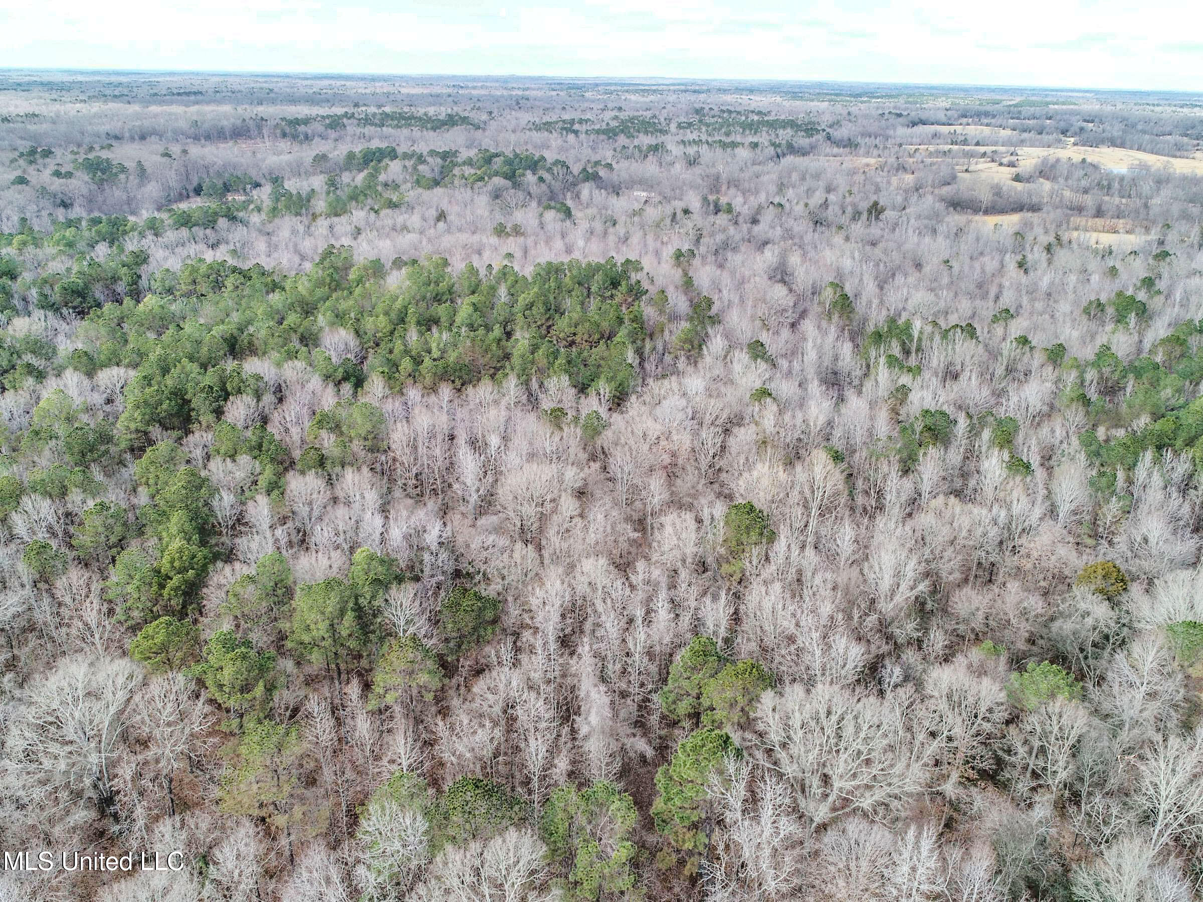 Anderson Road Lexington, MS 39095 - Photo 30 of 96 3lxtg22