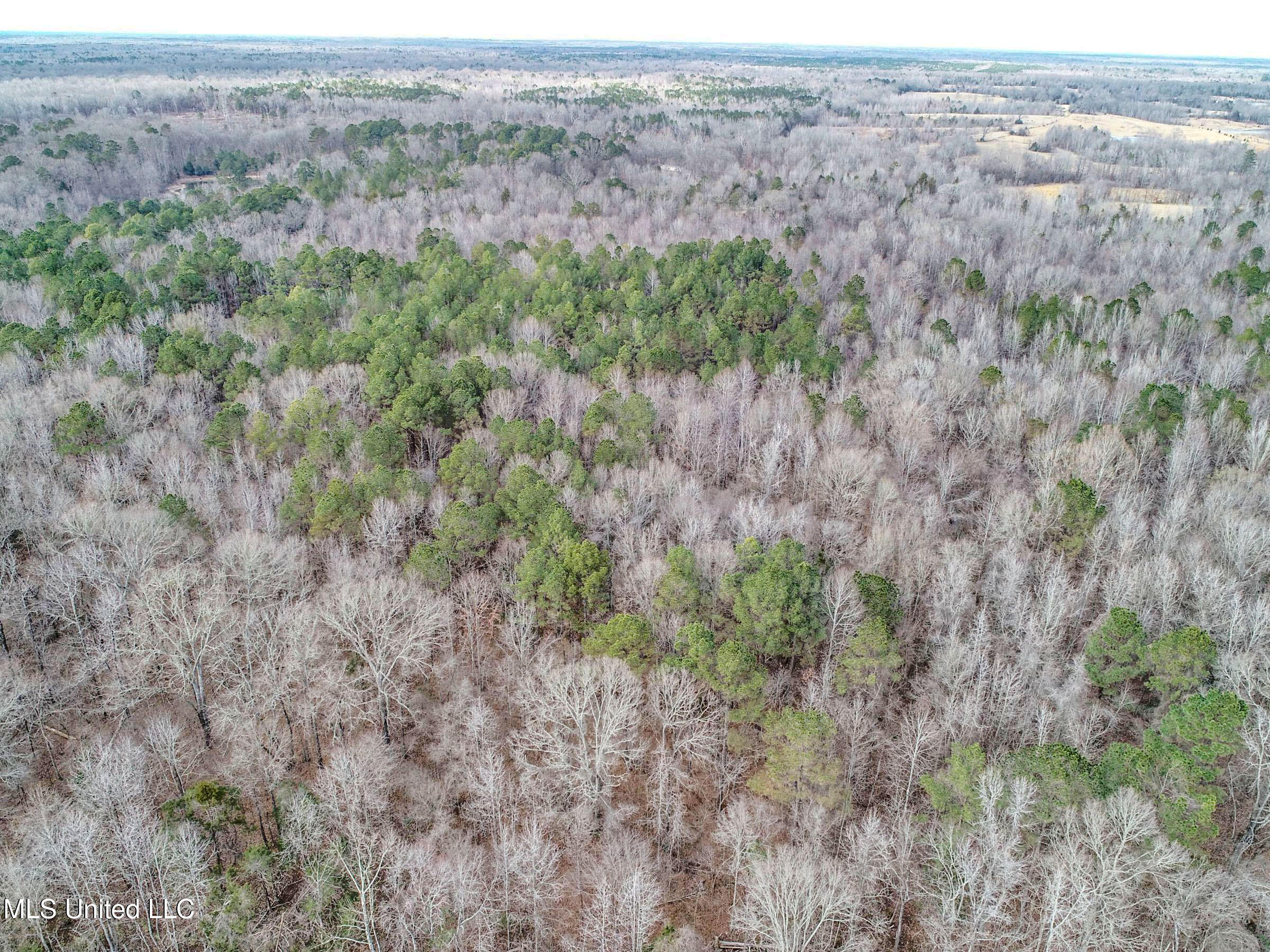 Anderson Road Lexington, MS 39095 - Photo 31 of 96 3lxtg23