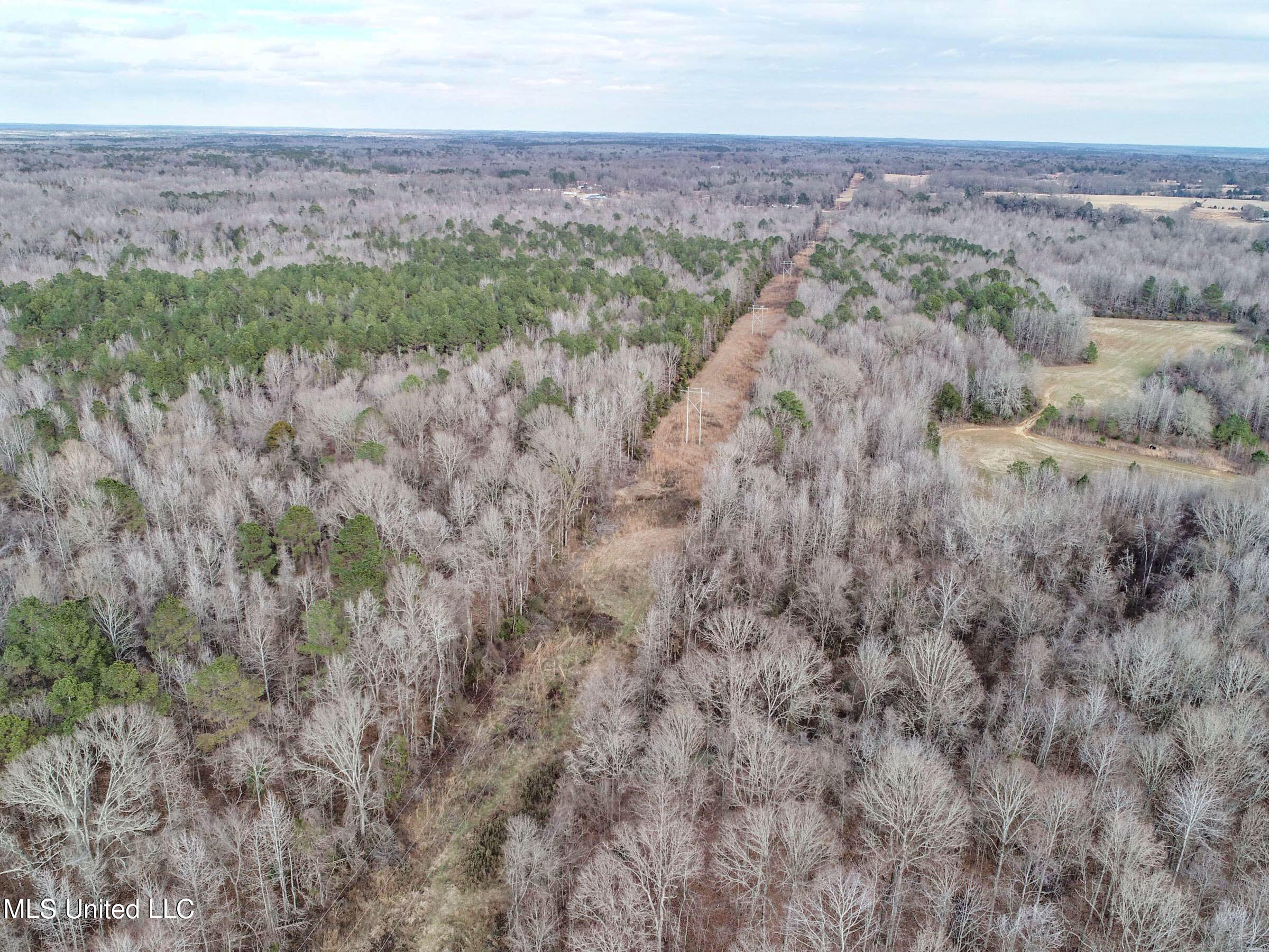 Anderson Road Lexington, MS 39095 - Photo 32 of 96 3lxtg24