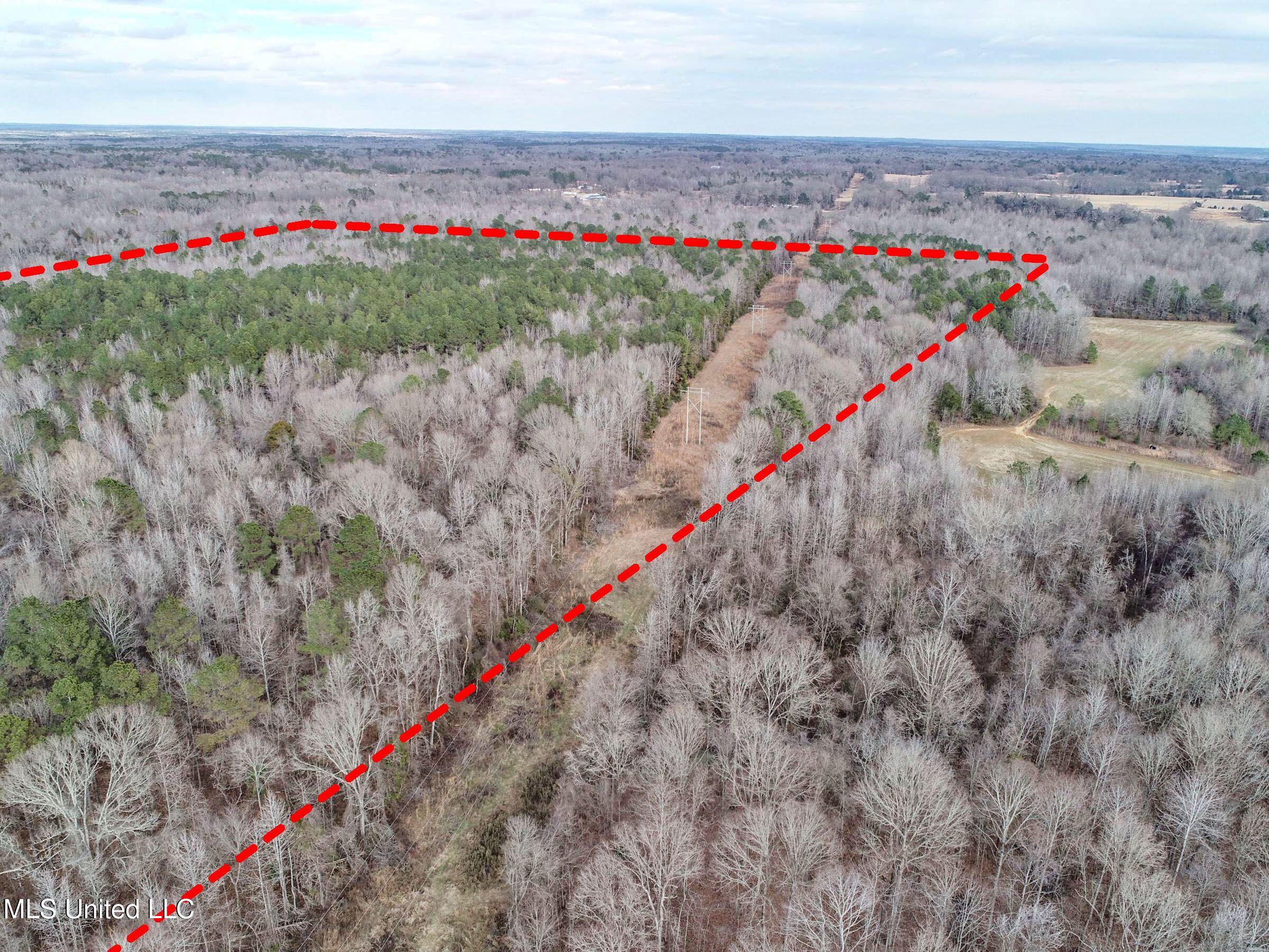Anderson Road Lexington, MS 39095 - Photo 34 of 96 3lxtg24b