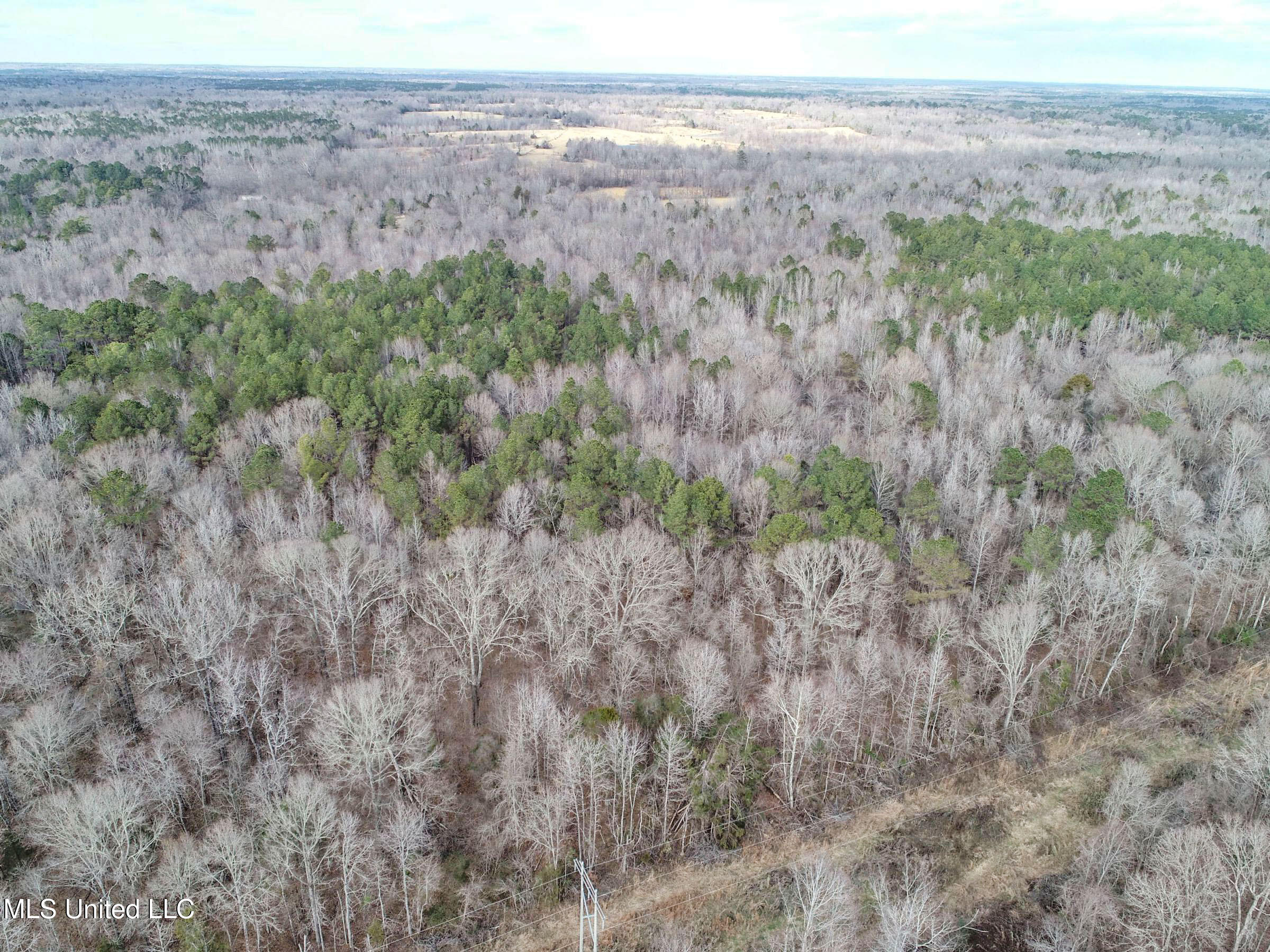 Anderson Road Lexington, MS 39095 - Photo 36 of 96 3lxtg27