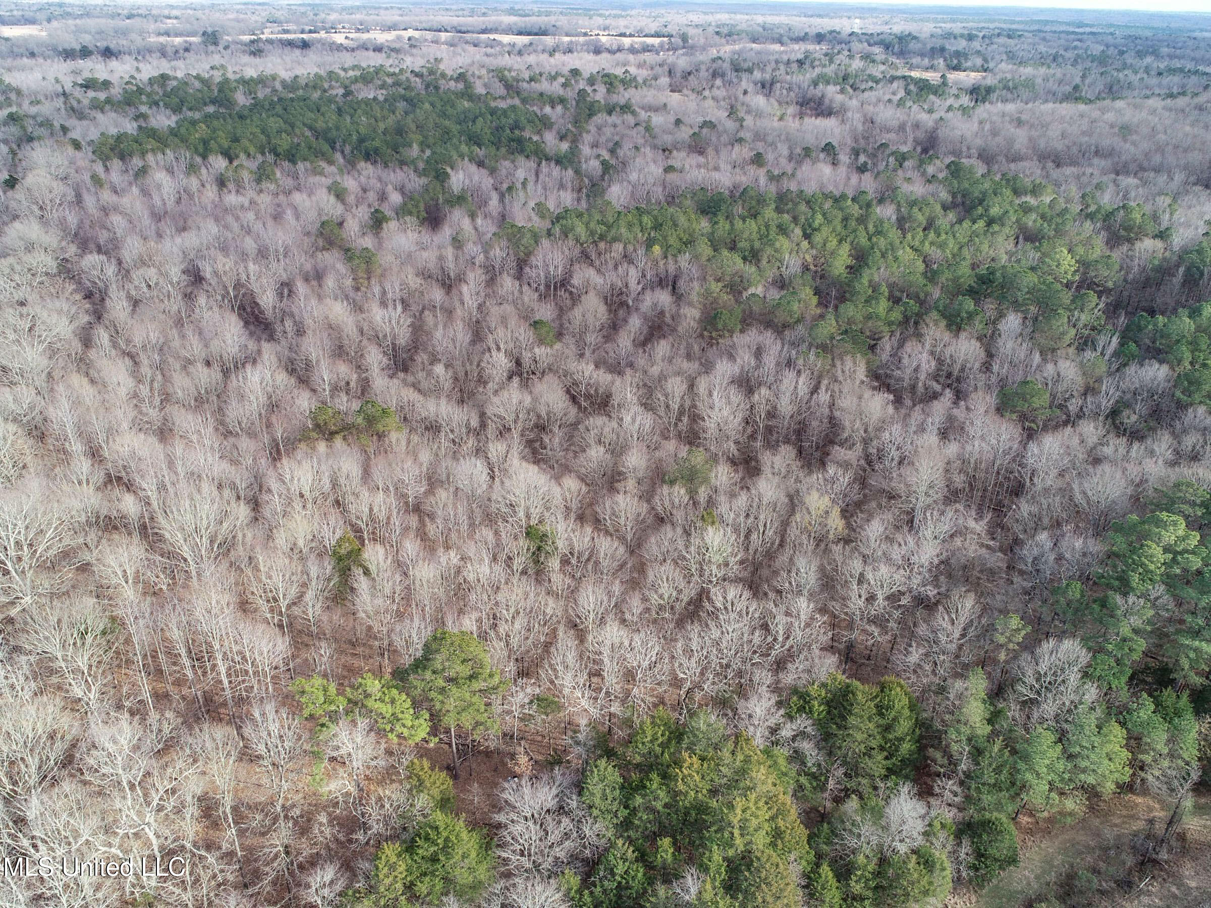 Anderson Road Lexington, MS 39095 - Photo 39 of 96 3lxtg29