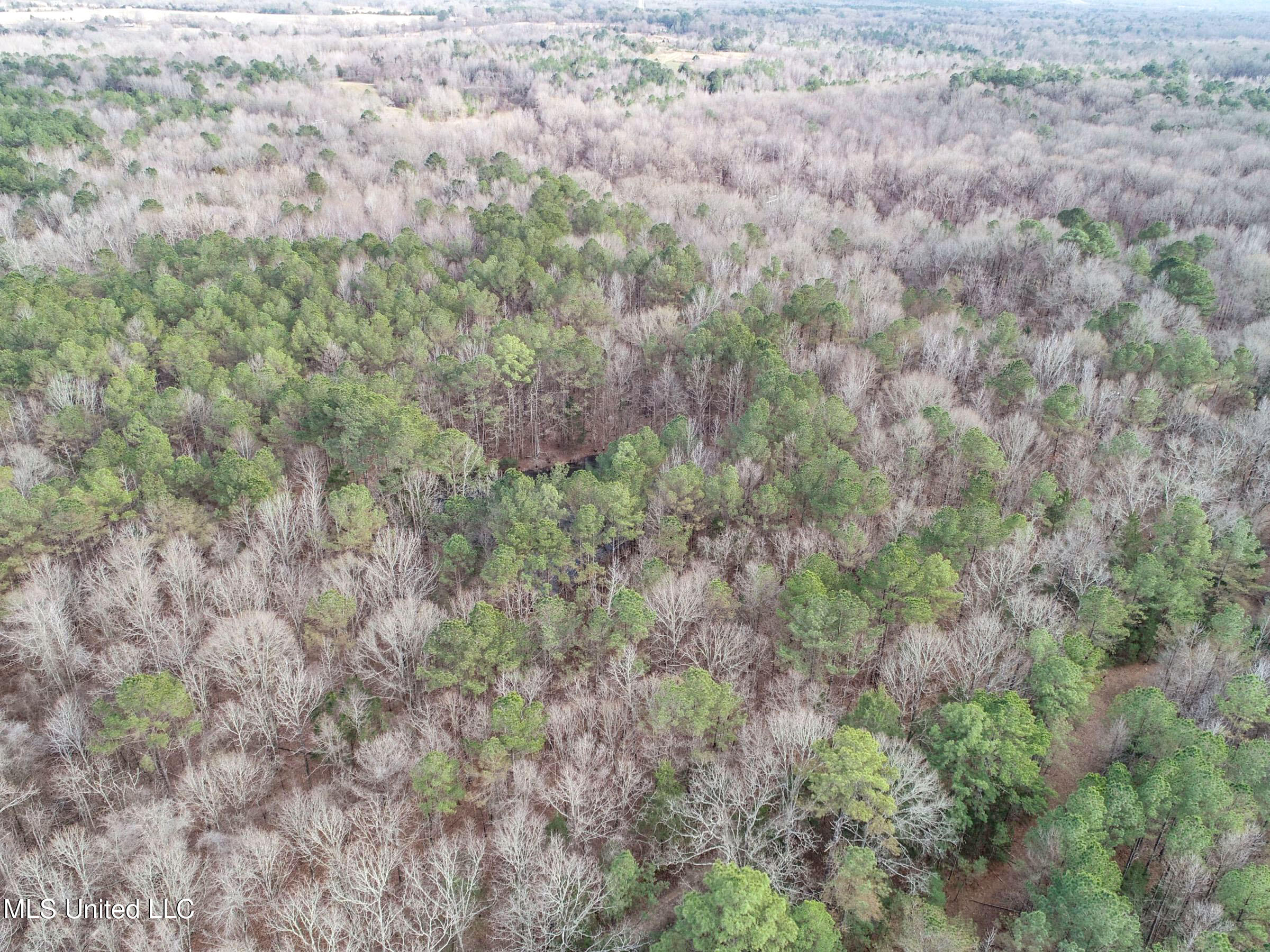 Anderson Road Lexington, MS 39095 - Photo 41 of 96 3lxtg31