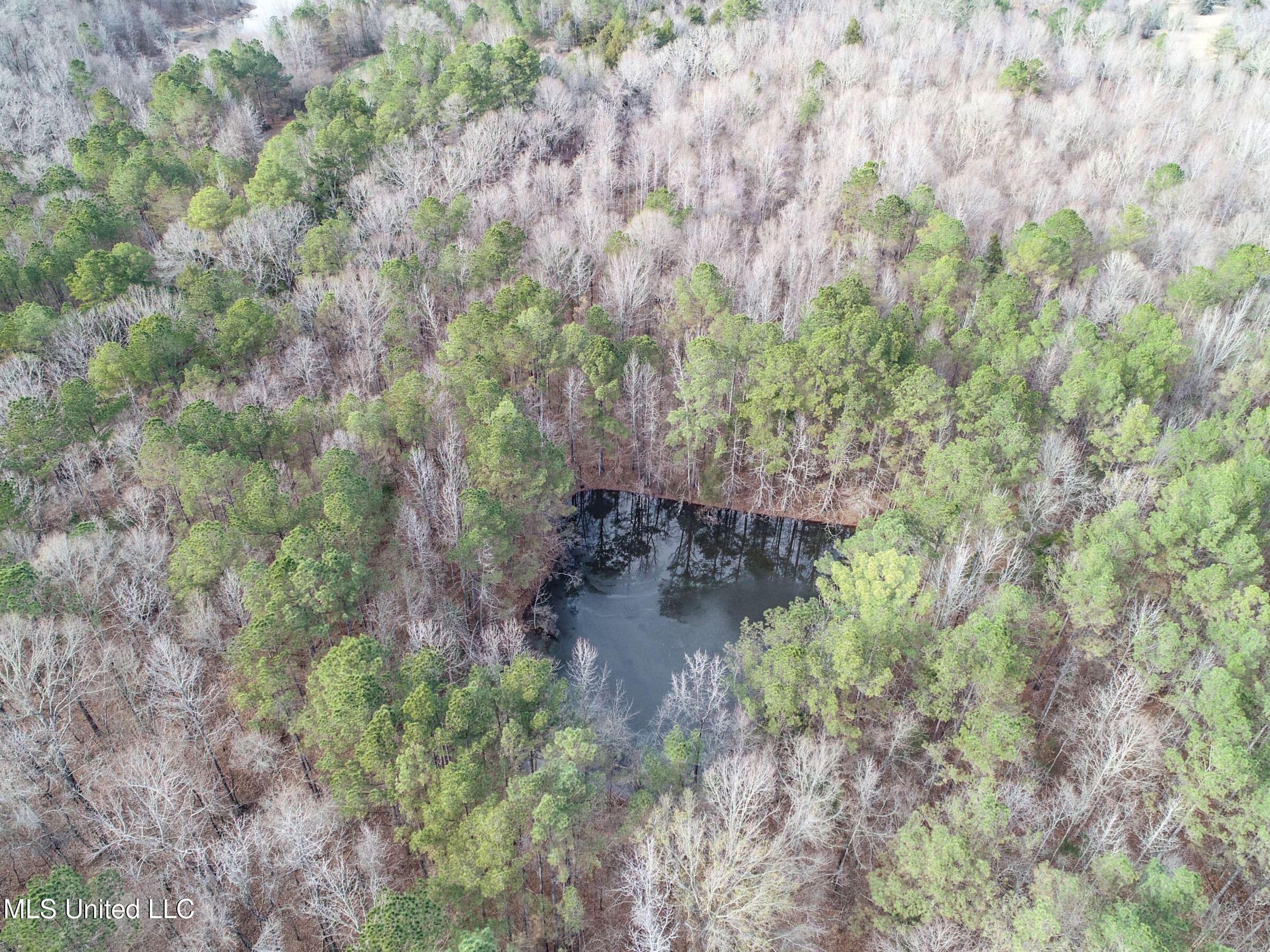 Anderson Road Lexington, MS 39095 - Photo 42 of 96 3lxtg32