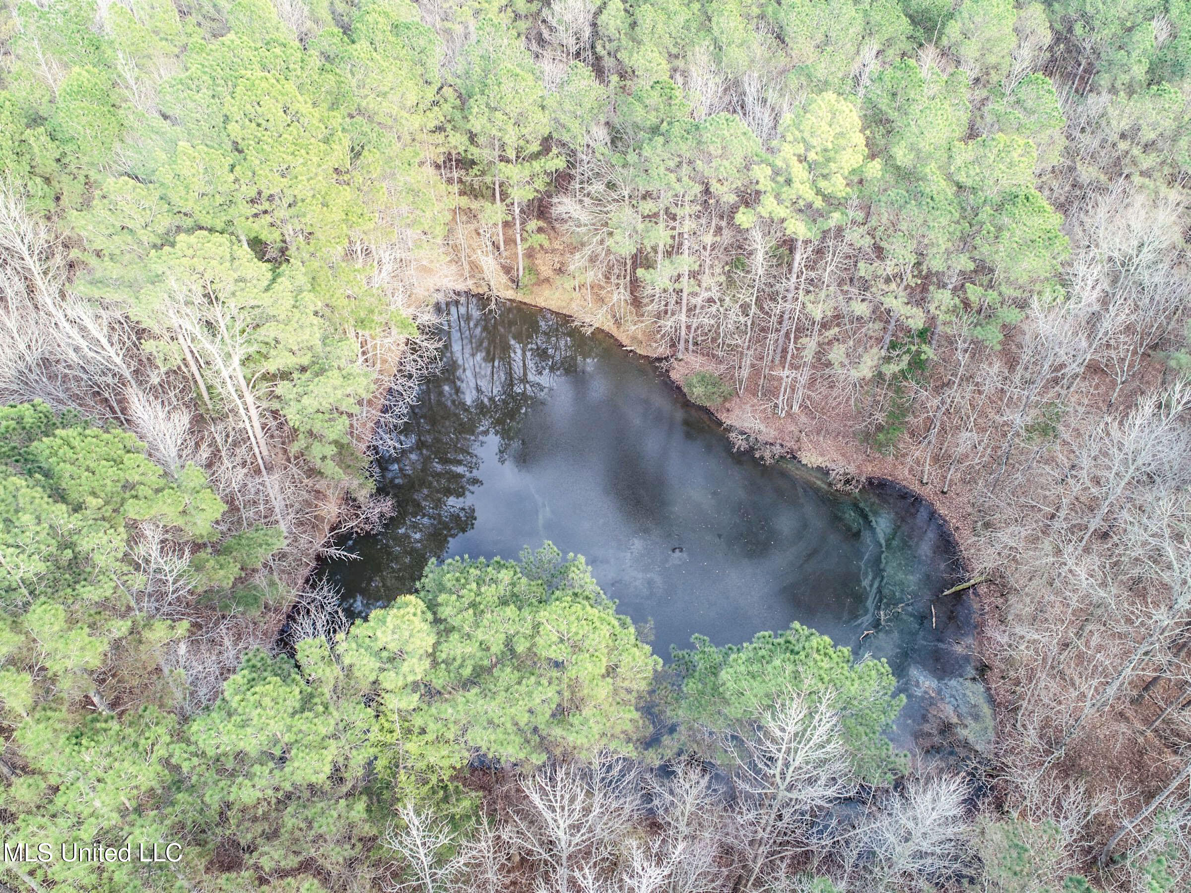 Anderson Road Lexington, MS 39095 - Photo 43 of 96 3lxtg33