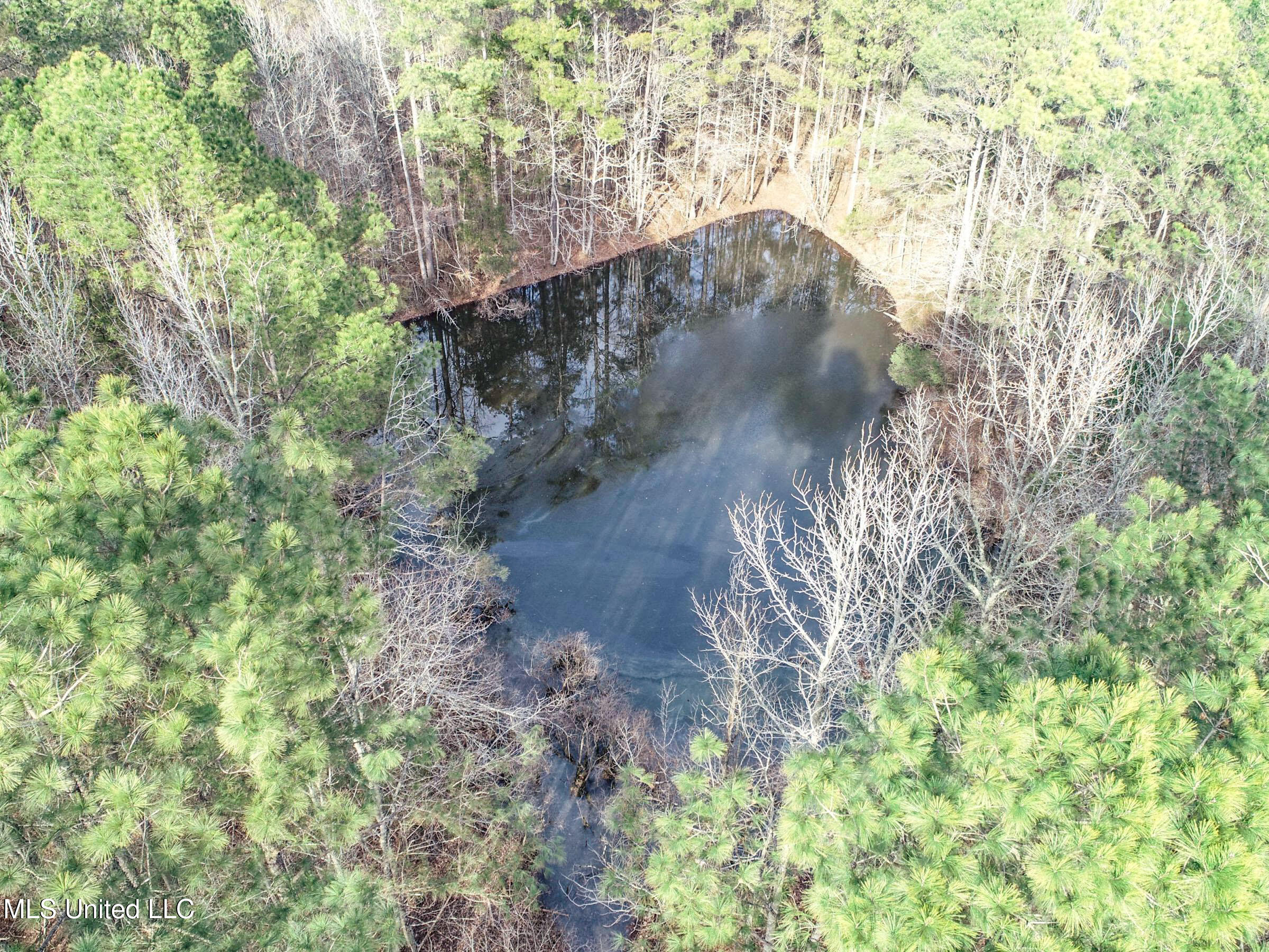 Anderson Road Lexington, MS 39095 - Photo 44 of 96 3lxtg34