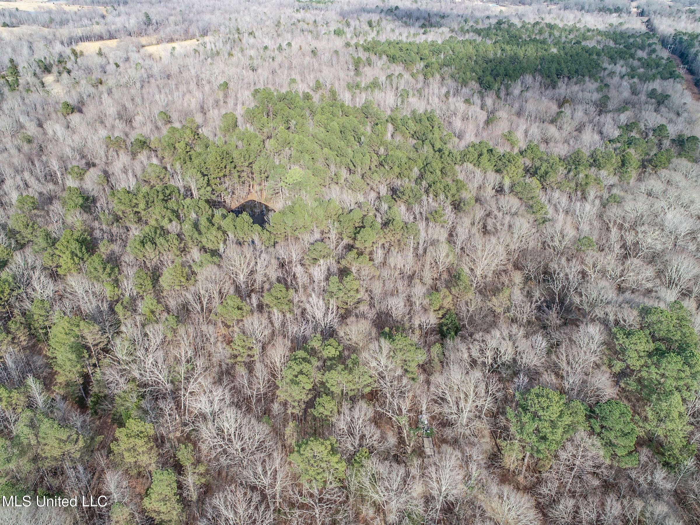 Anderson Road Lexington, MS 39095 - Photo 45 of 96 3lxtg35