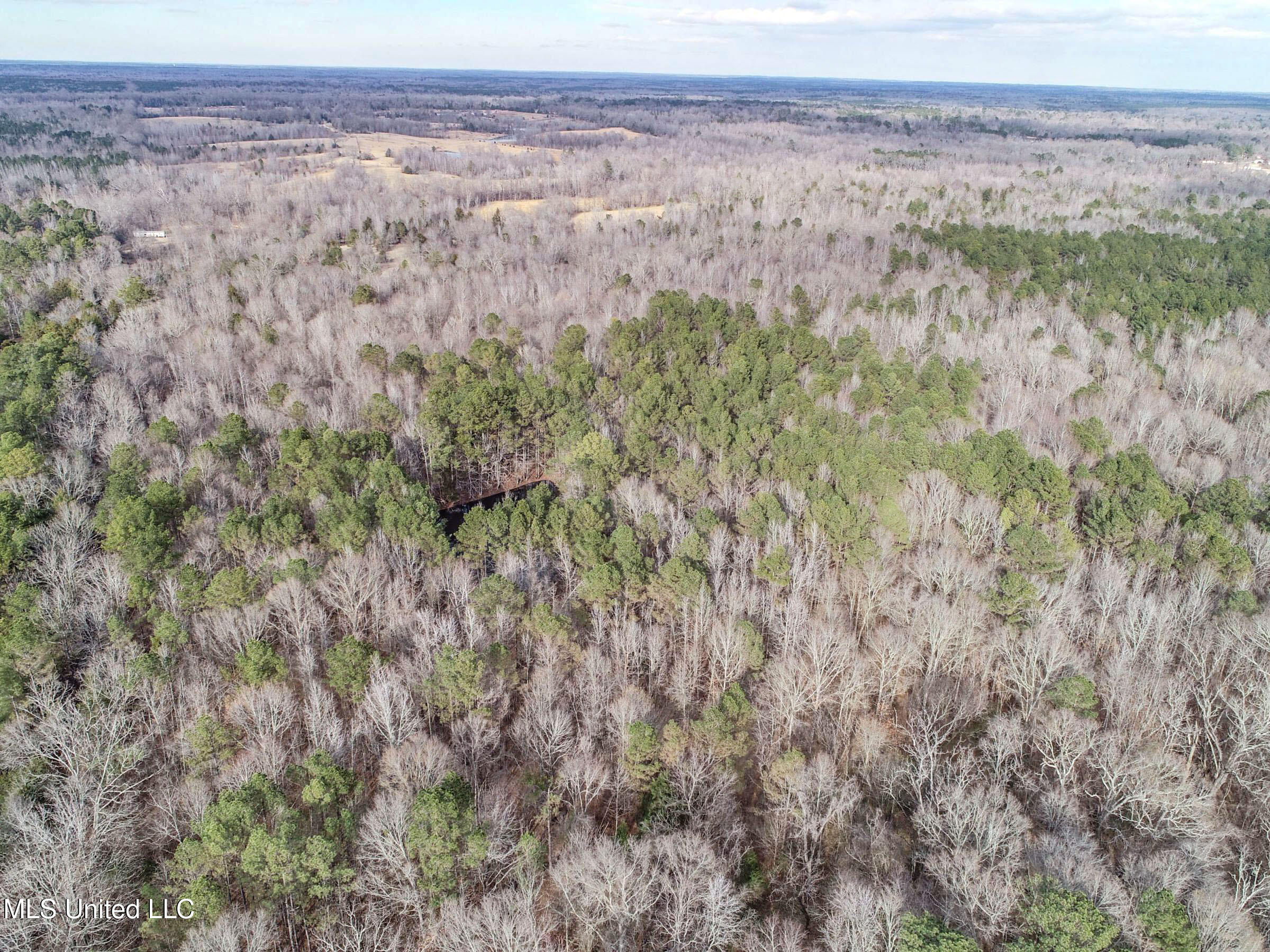 Anderson Road Lexington, MS 39095 - Photo 46 of 96 3lxtg36